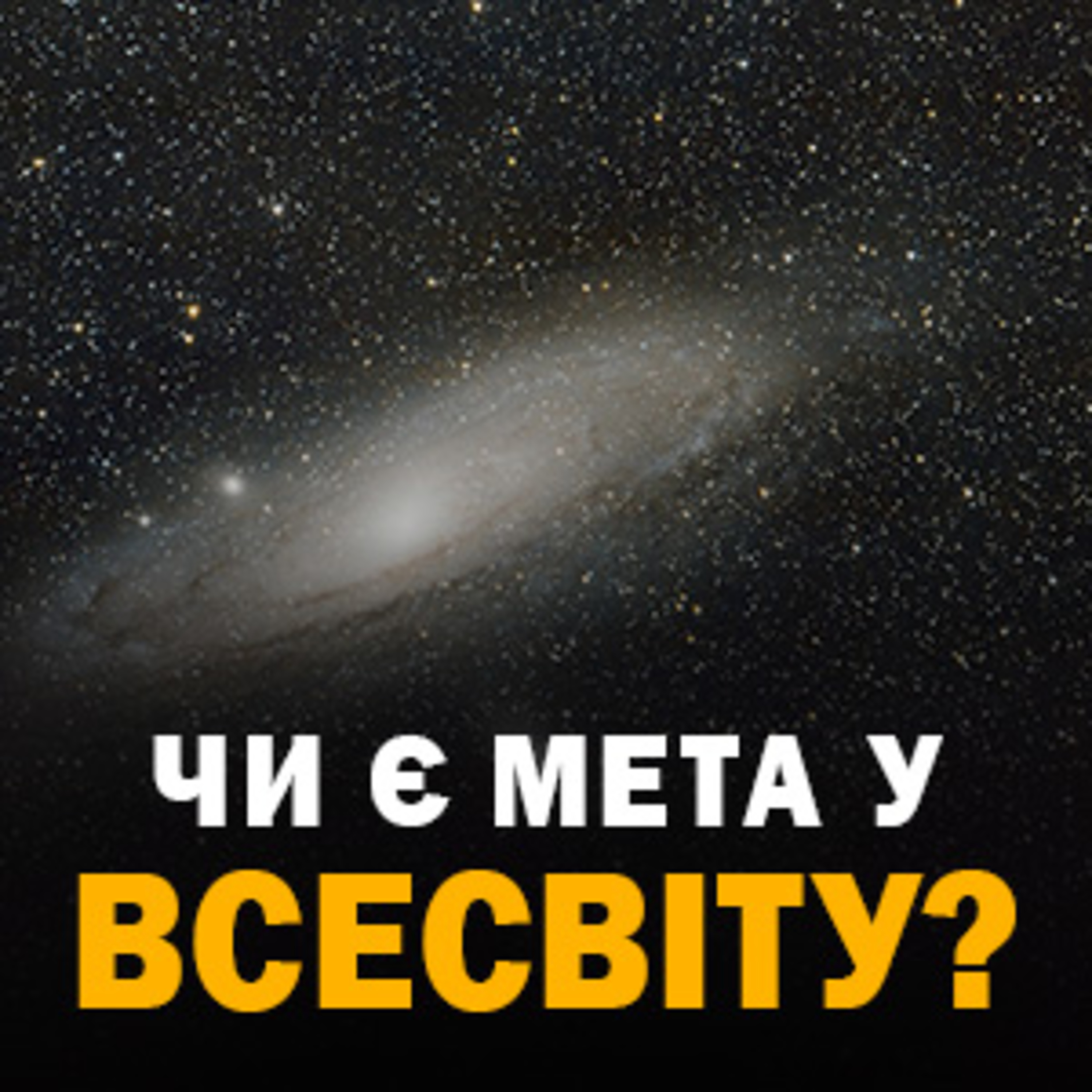 Чи є мета у Всесвіту? Ніл Деграсс Тайсон episode artwork