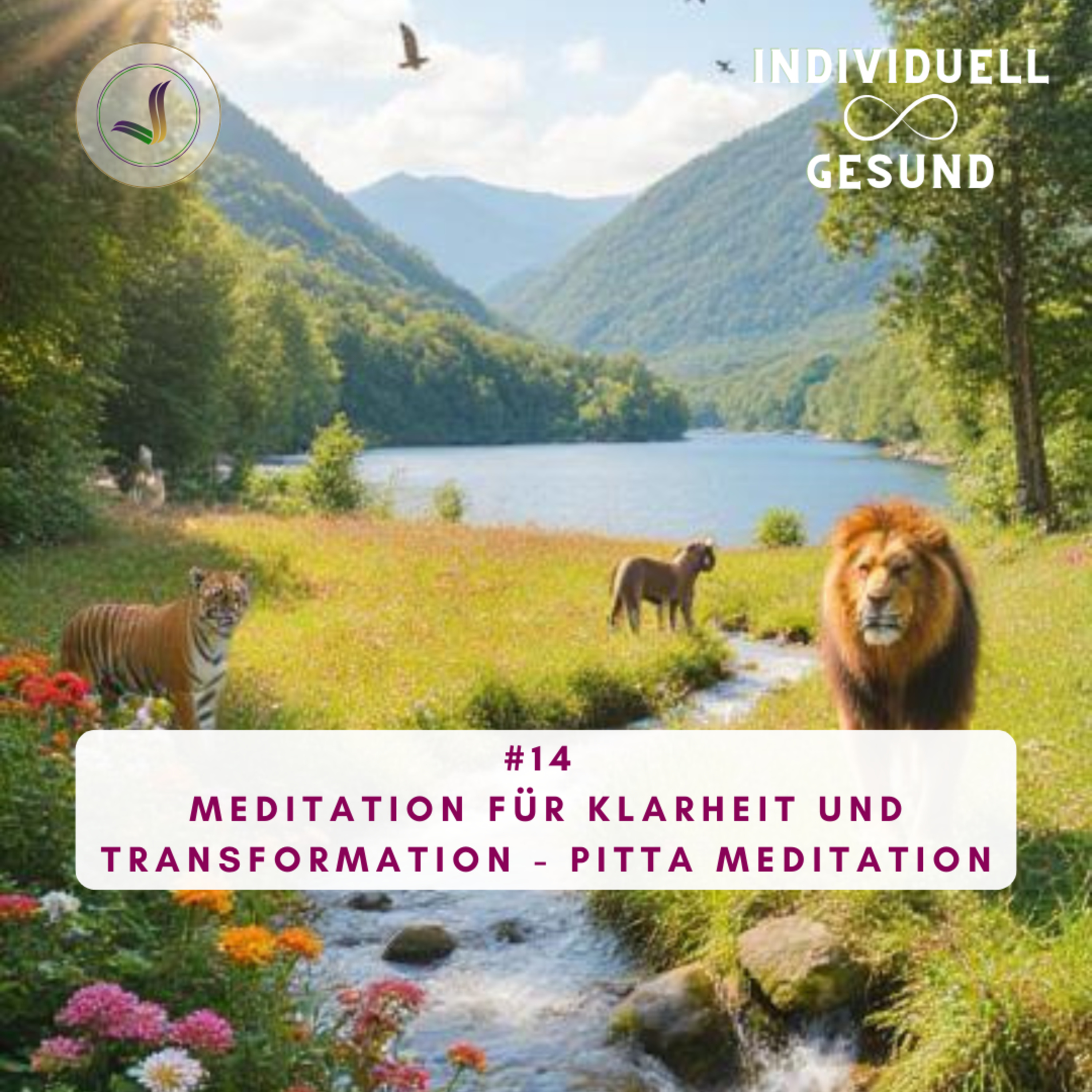 #14 Klarheit und Transformation - PITTA Meditation episode artwork