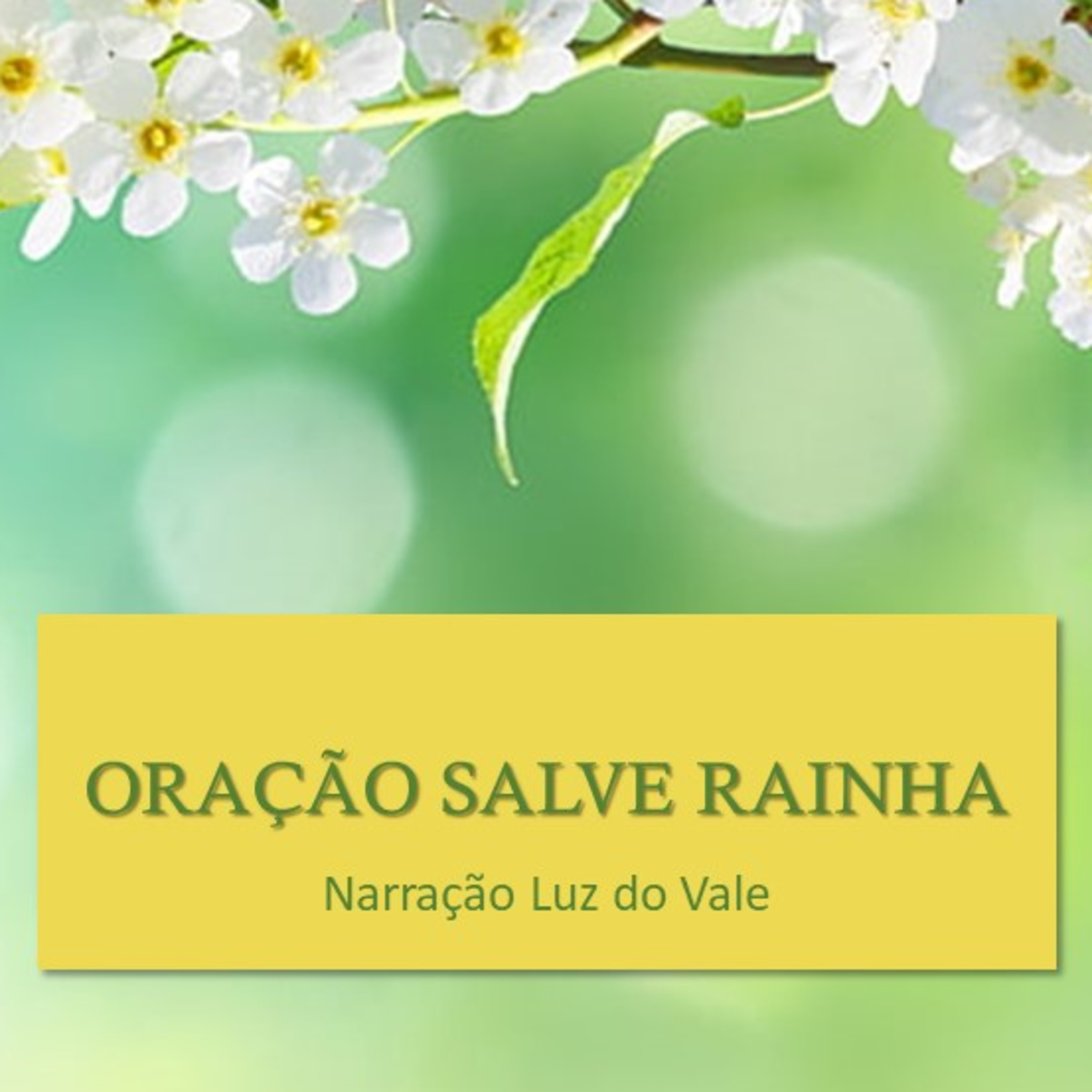 Oração Salve Rainha episode artwork
