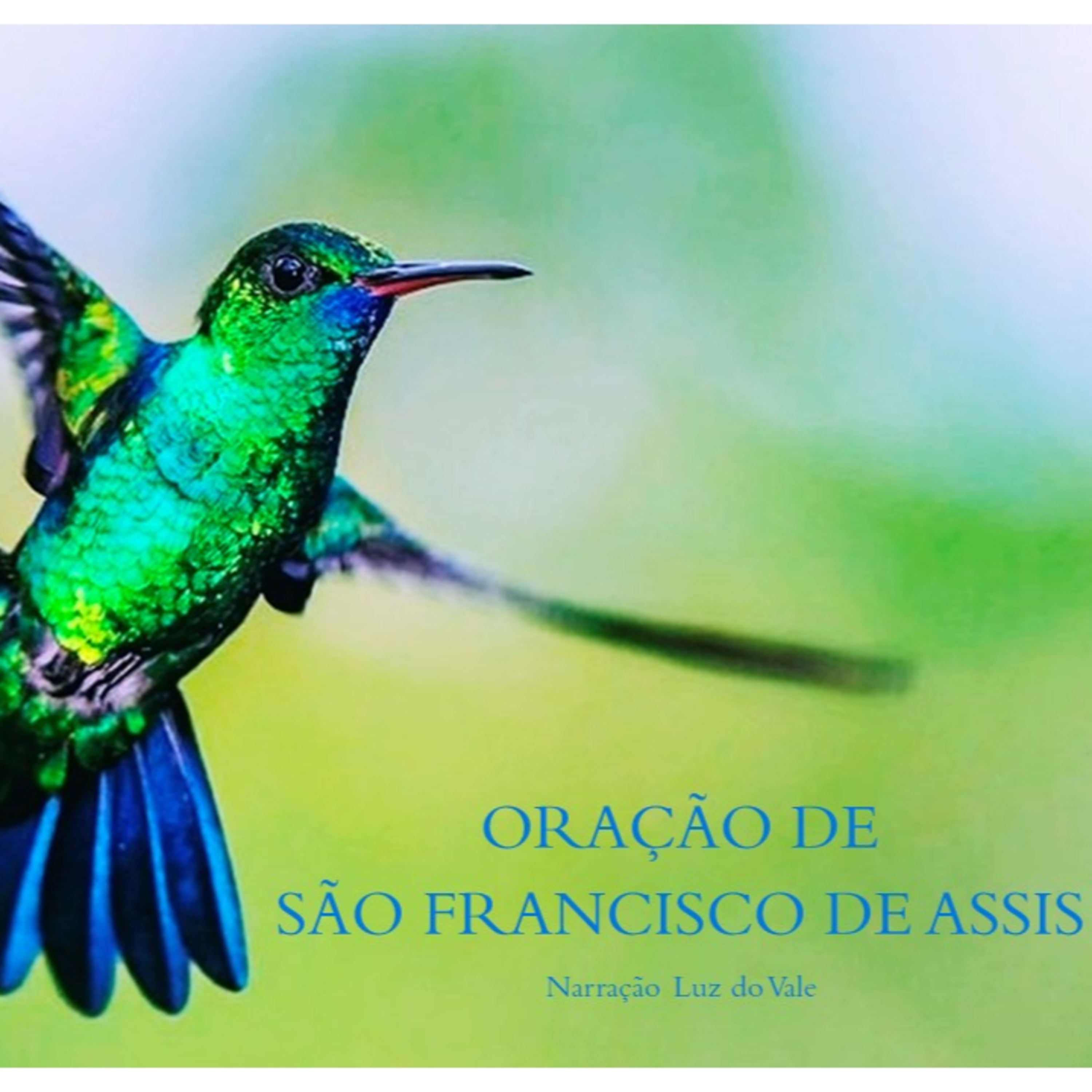 Oração de São Francisco de Assis episode artwork