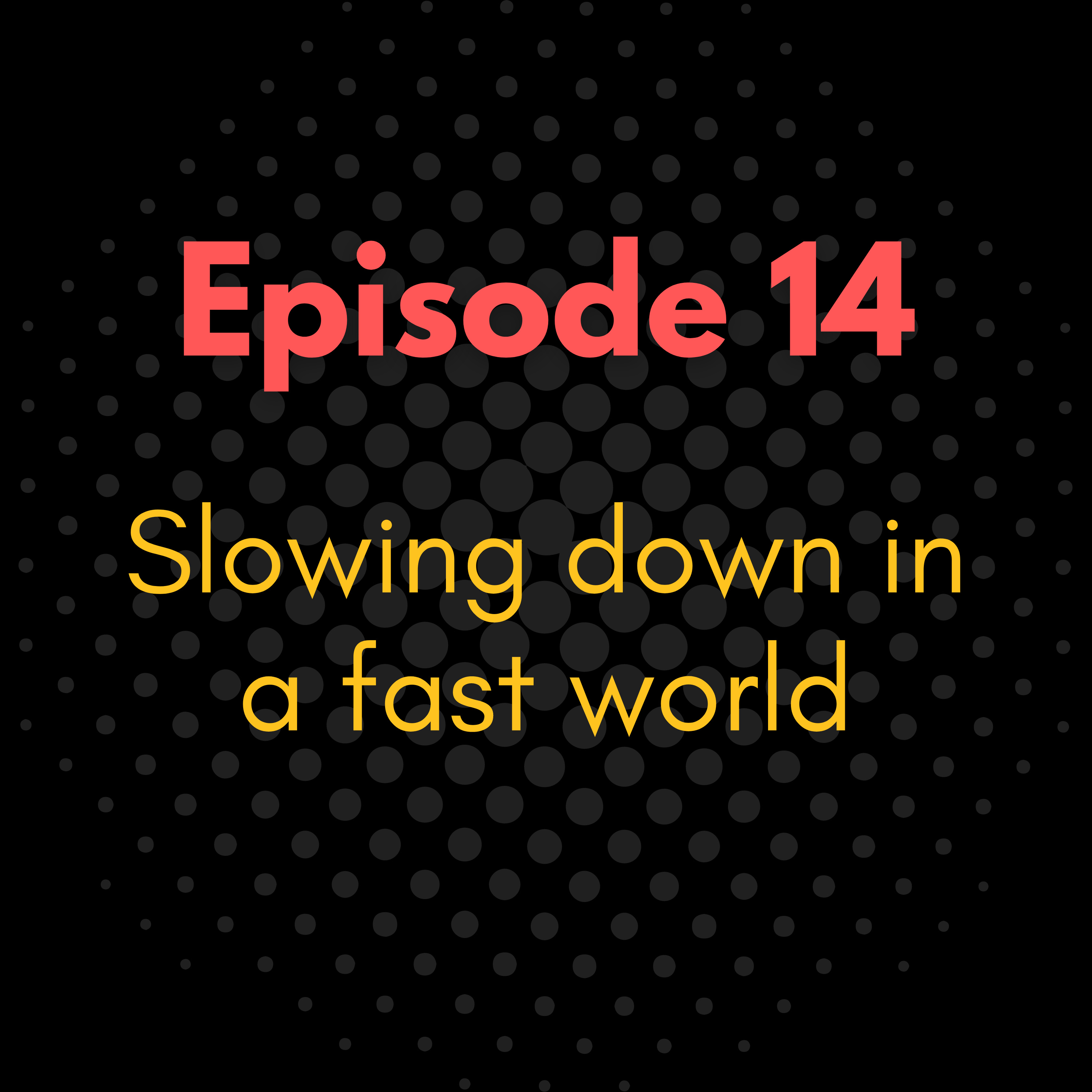 Slowing down in a fast world episode artwork