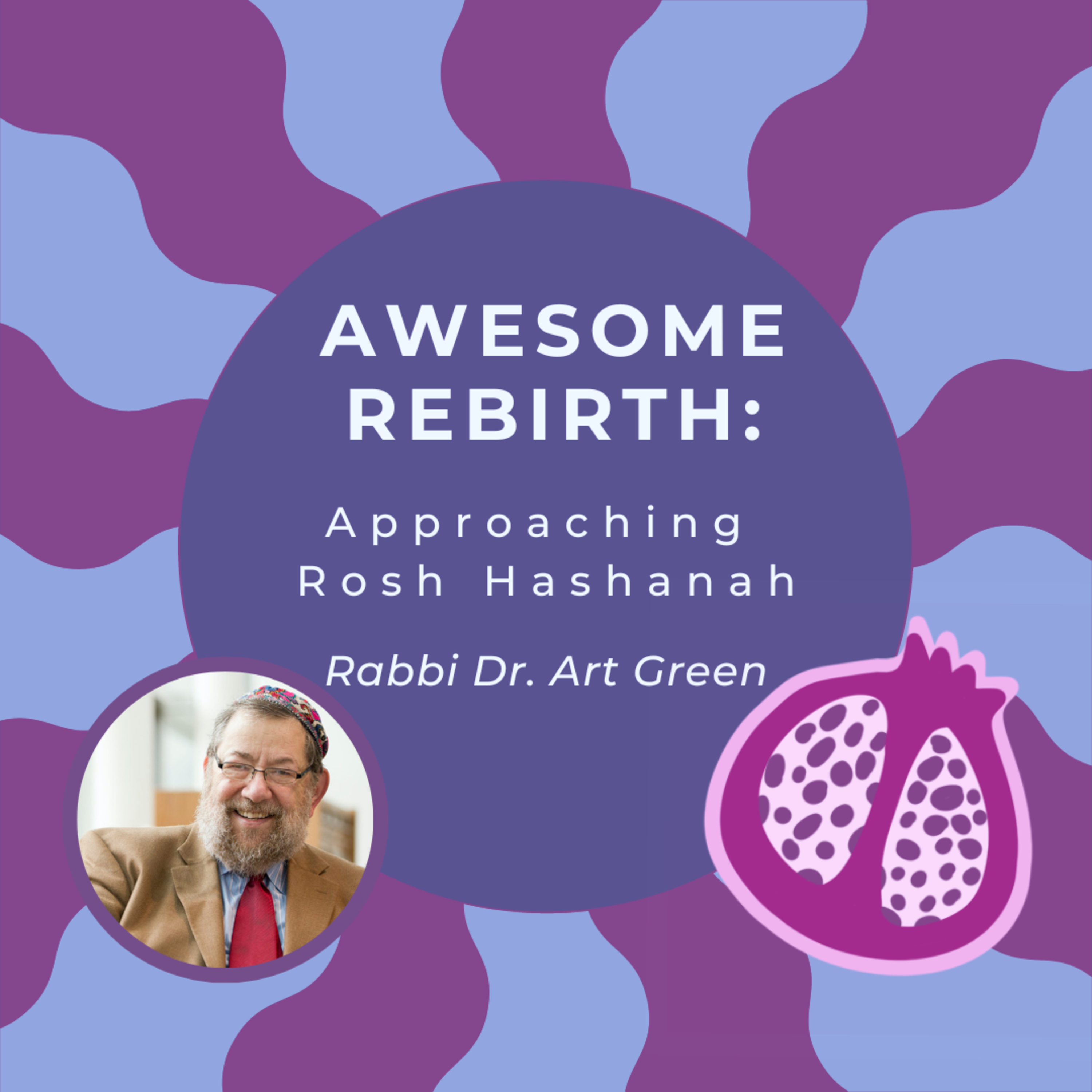 The Jewish Psychedelic Podcast