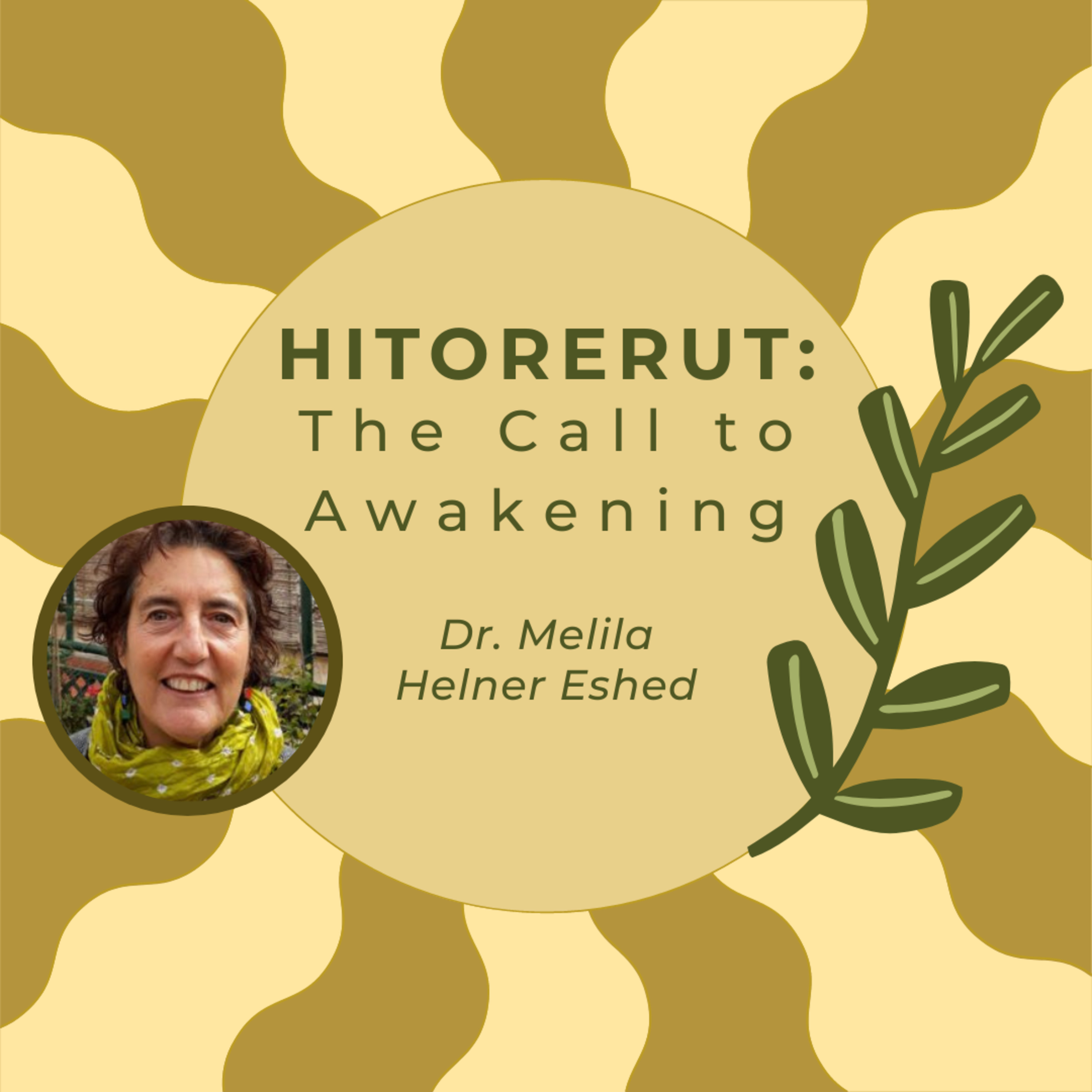 The Jewish Psychedelic Podcast
