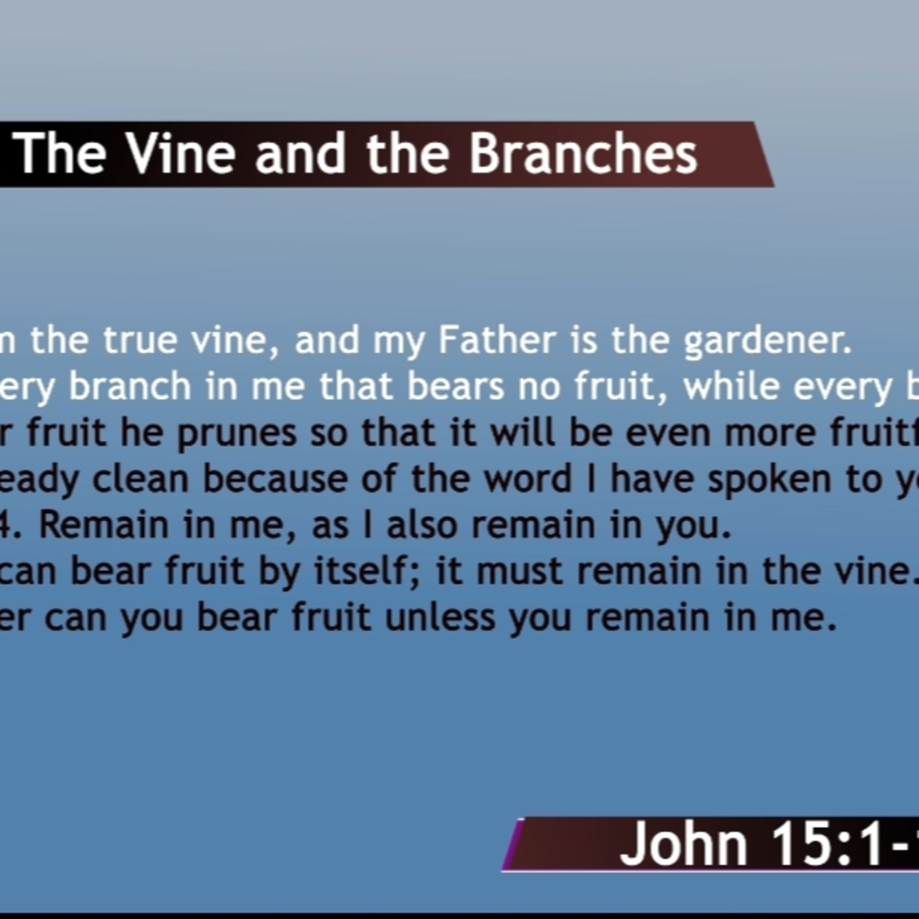 BibleStudy