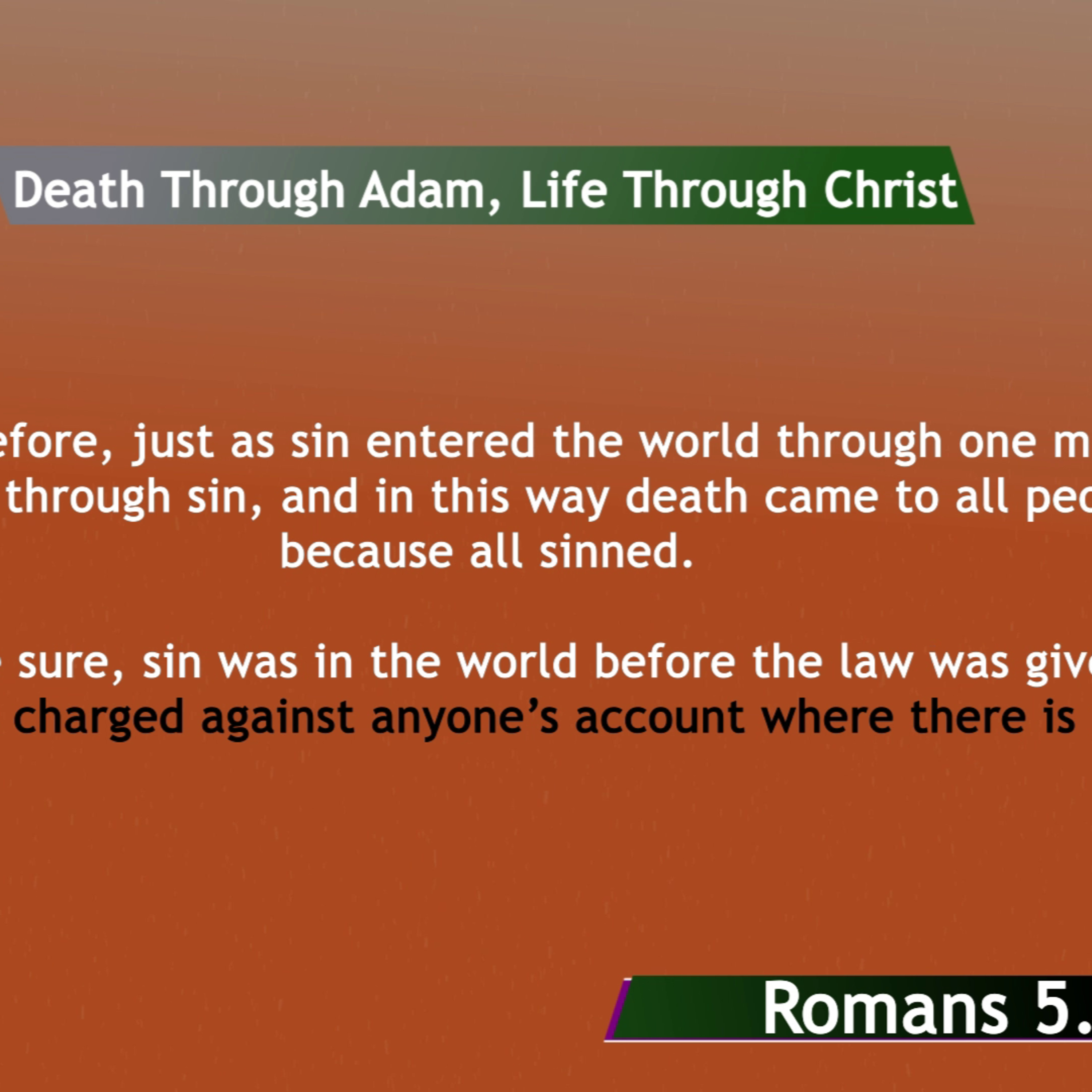 BibleStudy