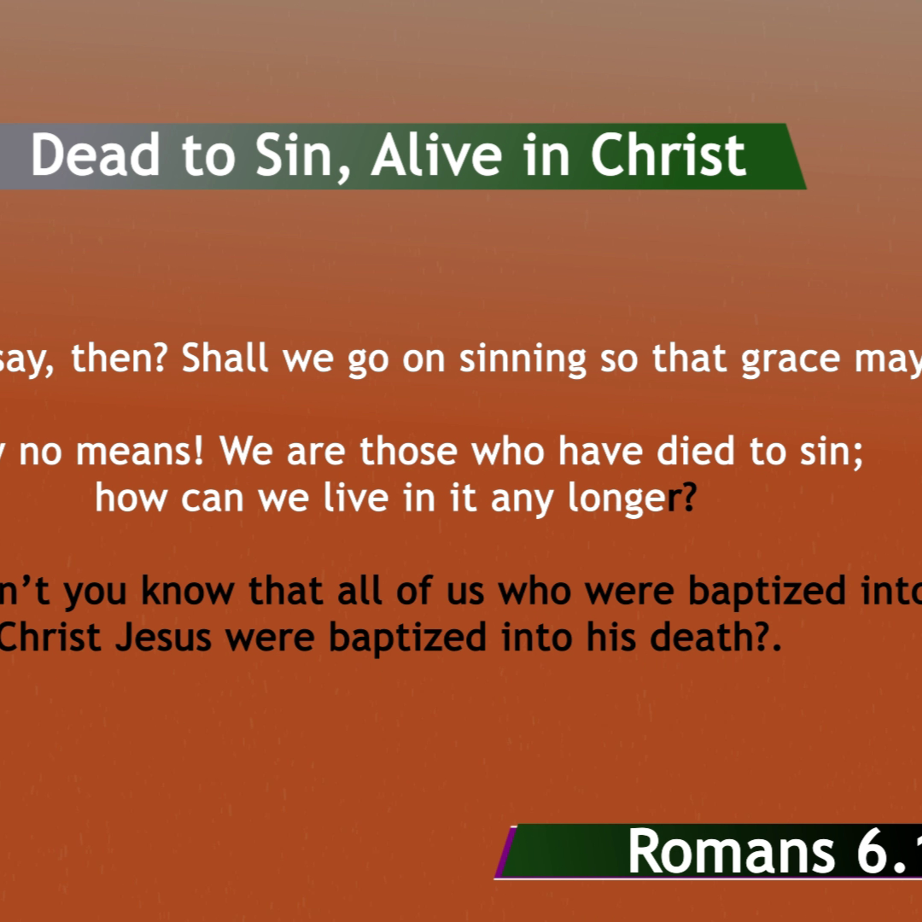 BibleStudy