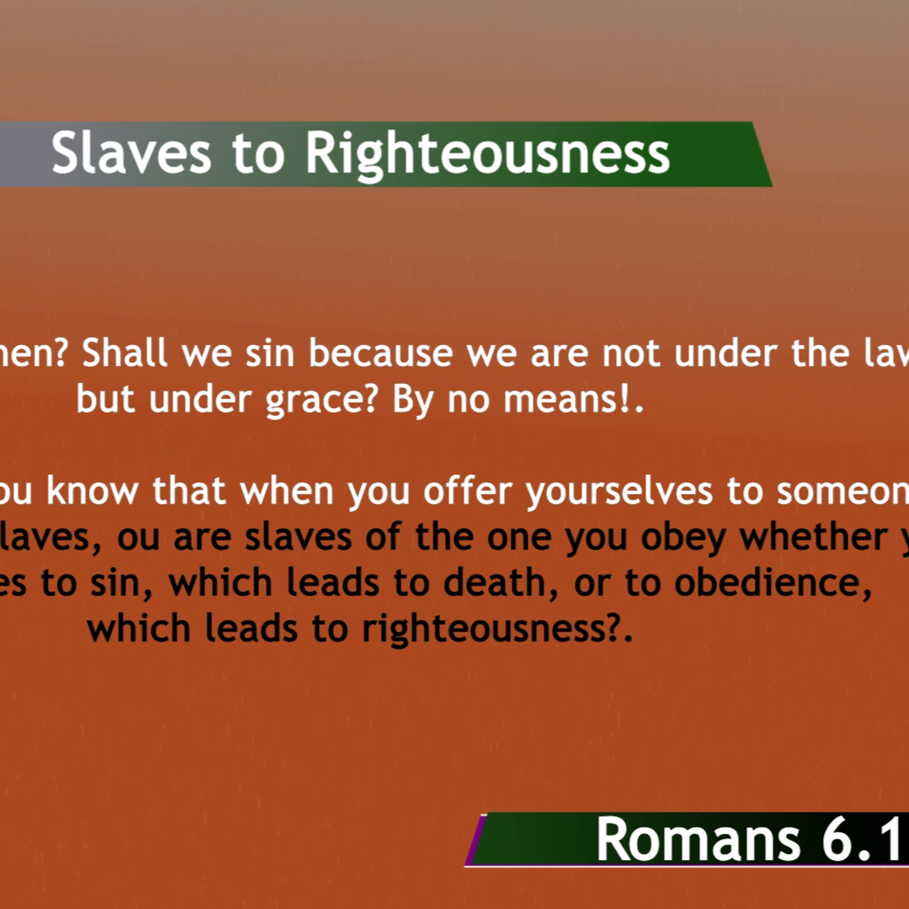 BibleStudy