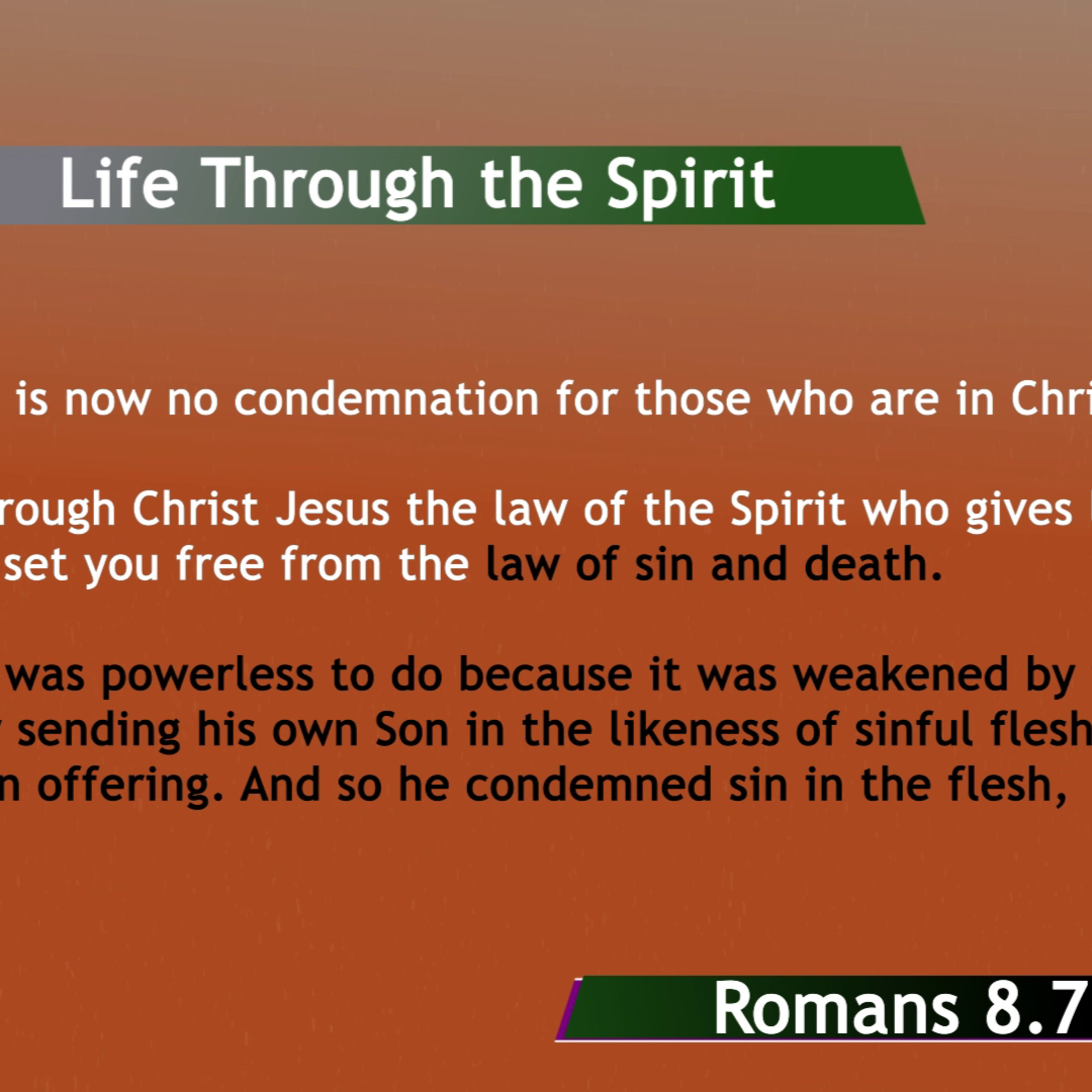 BibleStudy