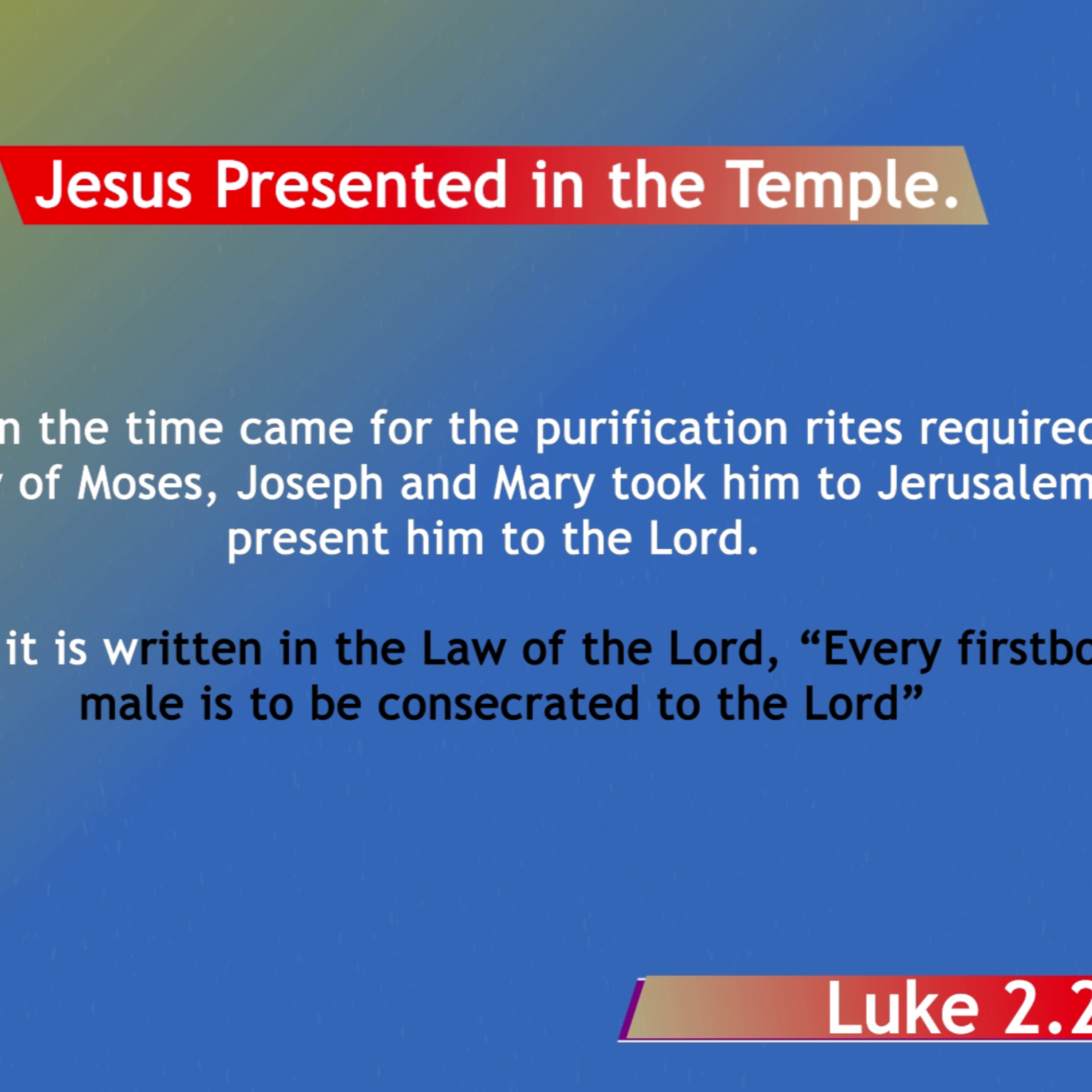 BibleStudy