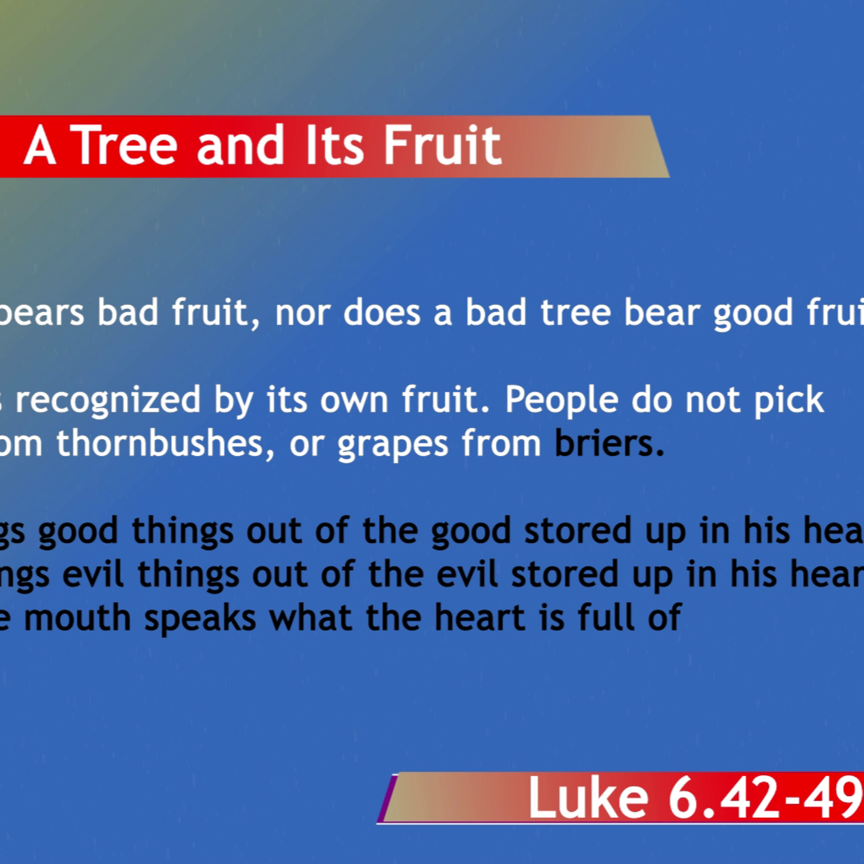 BibleStudy
