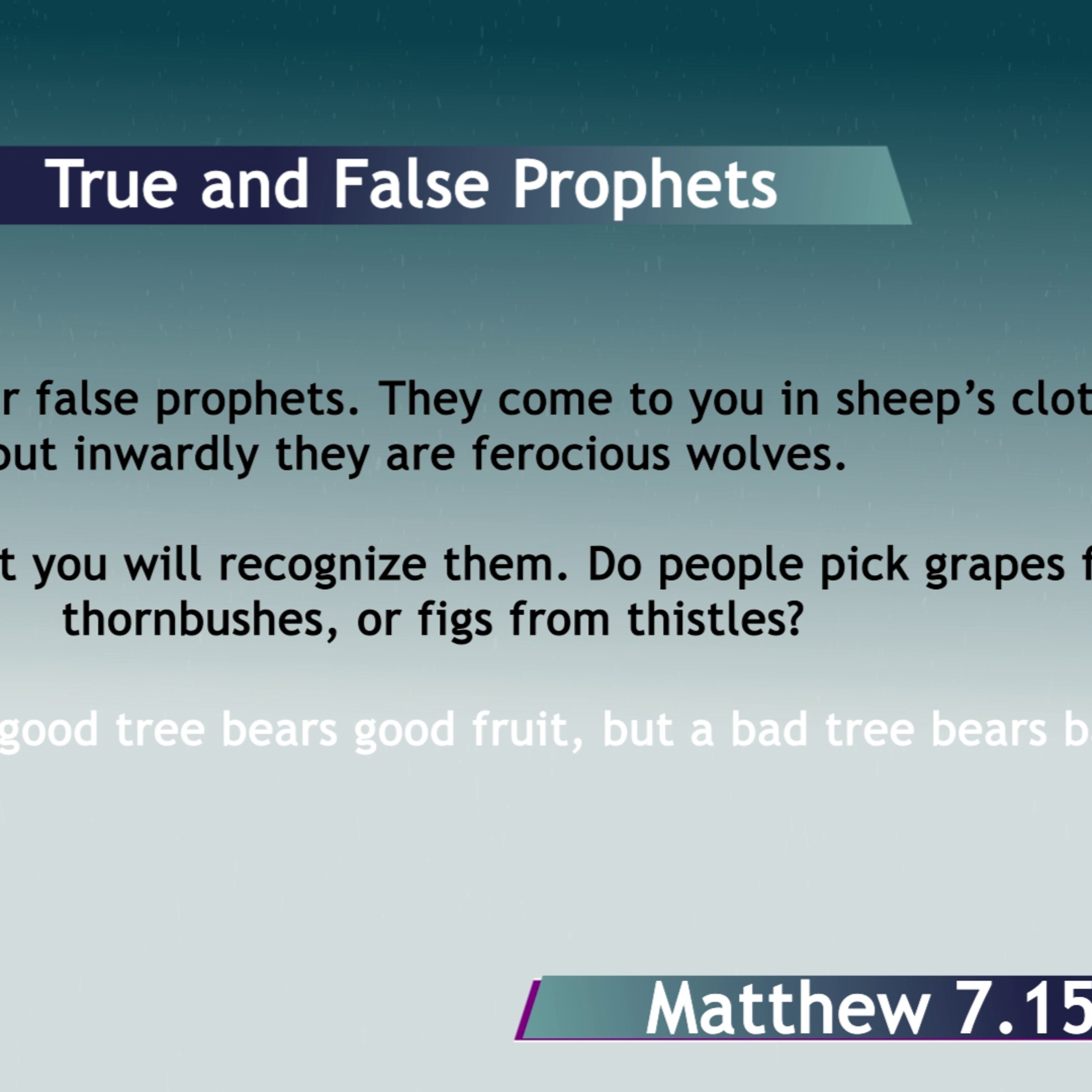 BibleStudy