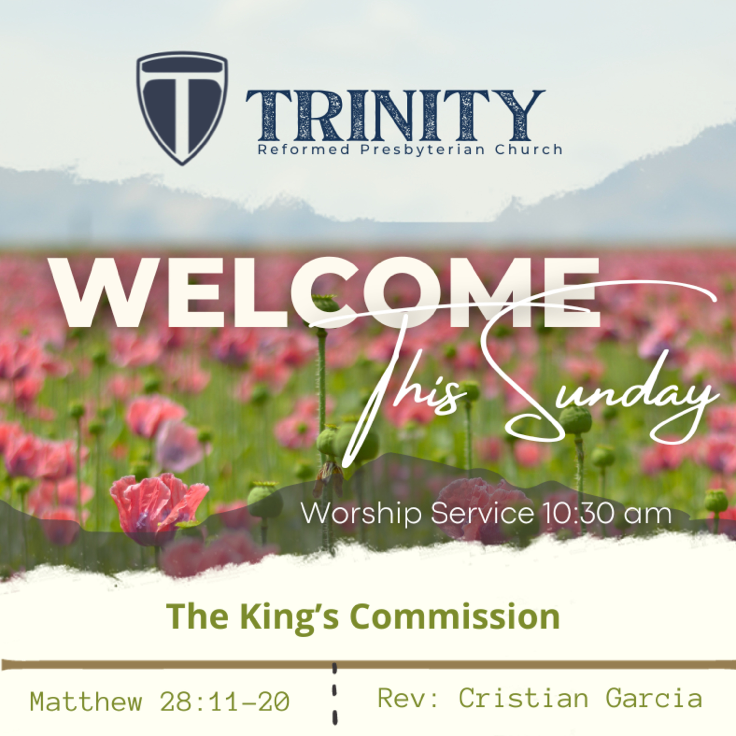 The King's Commission