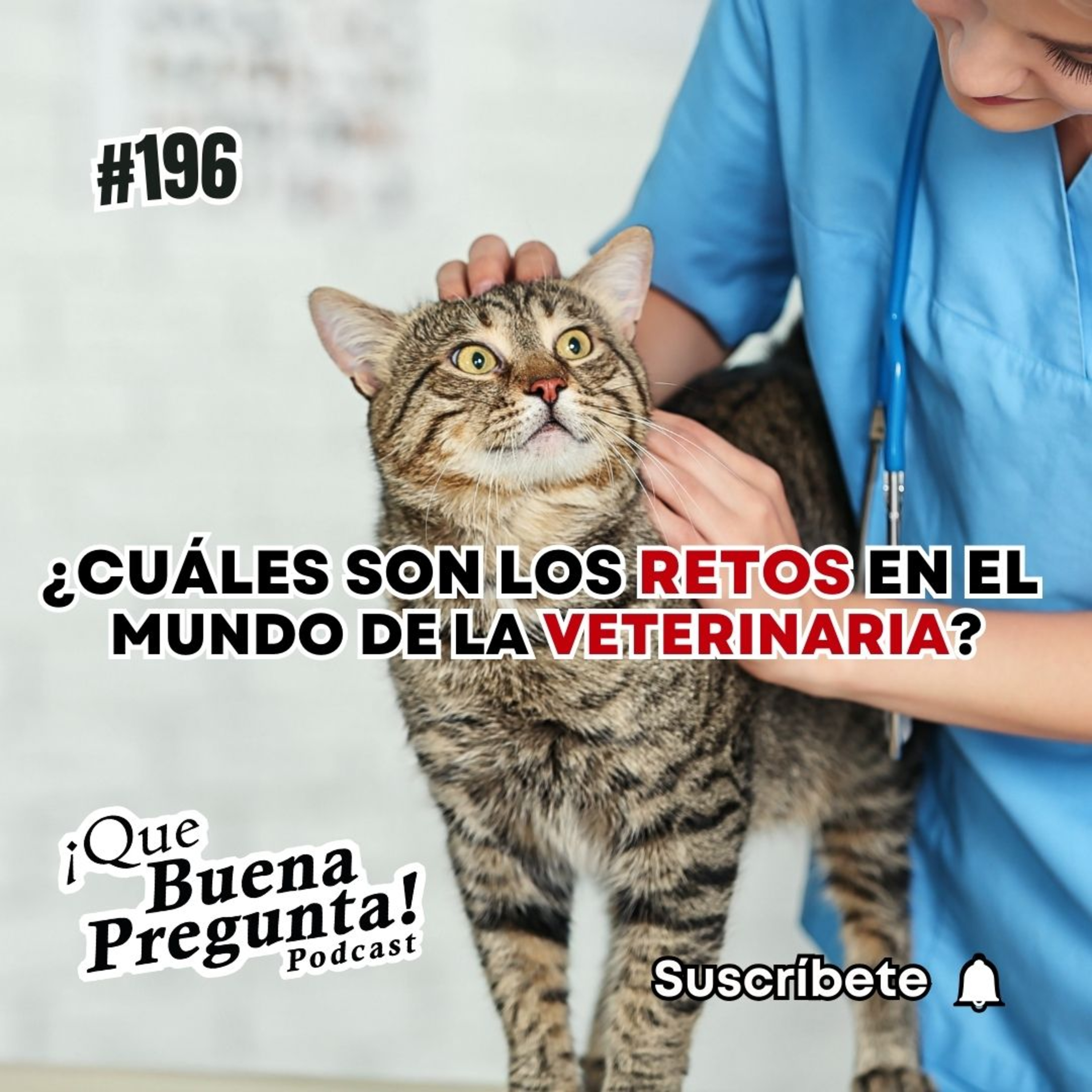 ¿Cuáles son los retos en el mundo de la veterinaria? - FT. Arehanny Ballesteros - Que Buena Pregunta! #196 episode artwork