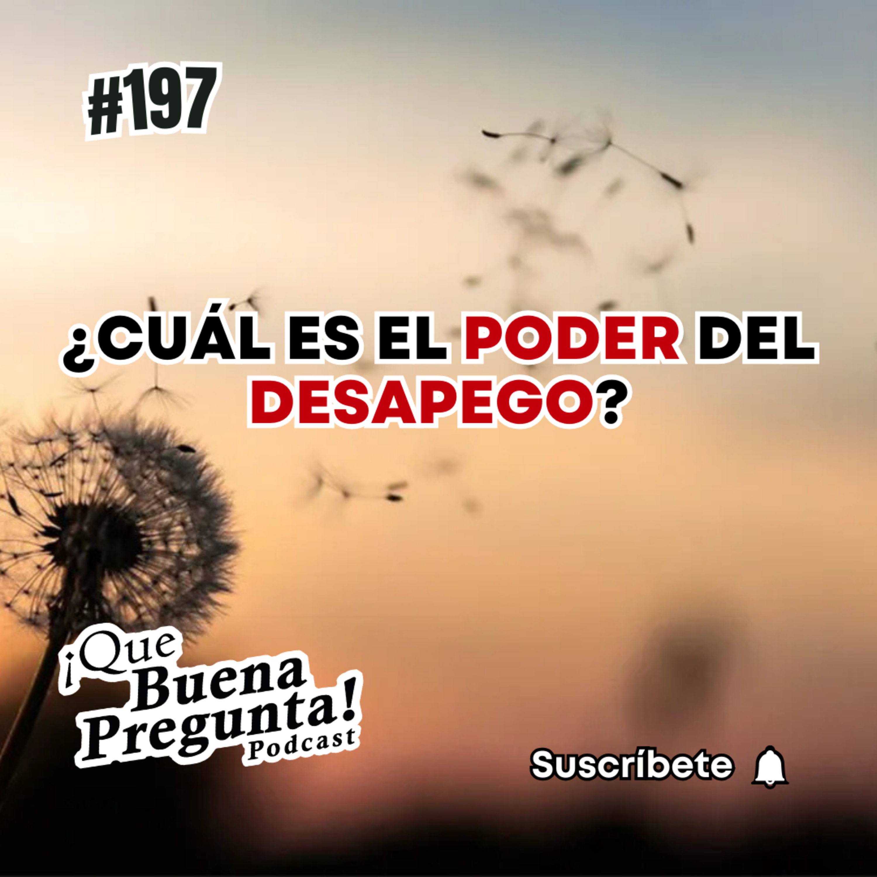 ¿Cuál es el poder del desapego? - Qué buena pregunta! #197 episode artwork