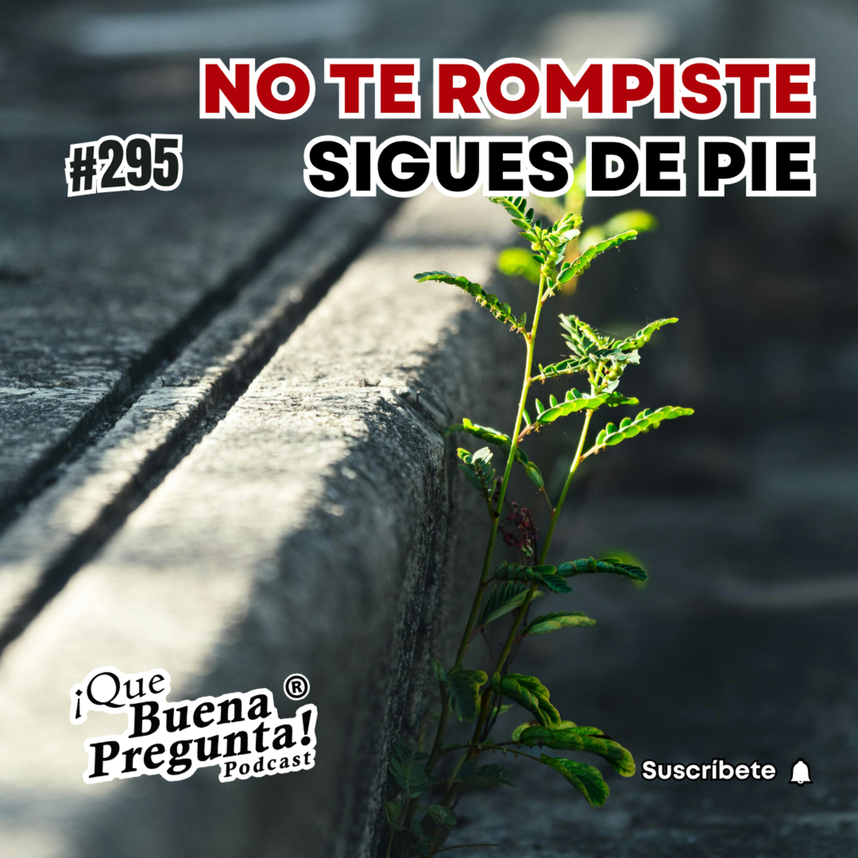 ¿Qué es realmente la resiliencia? - Que Buena Pregunta! - #295 episode artwork
