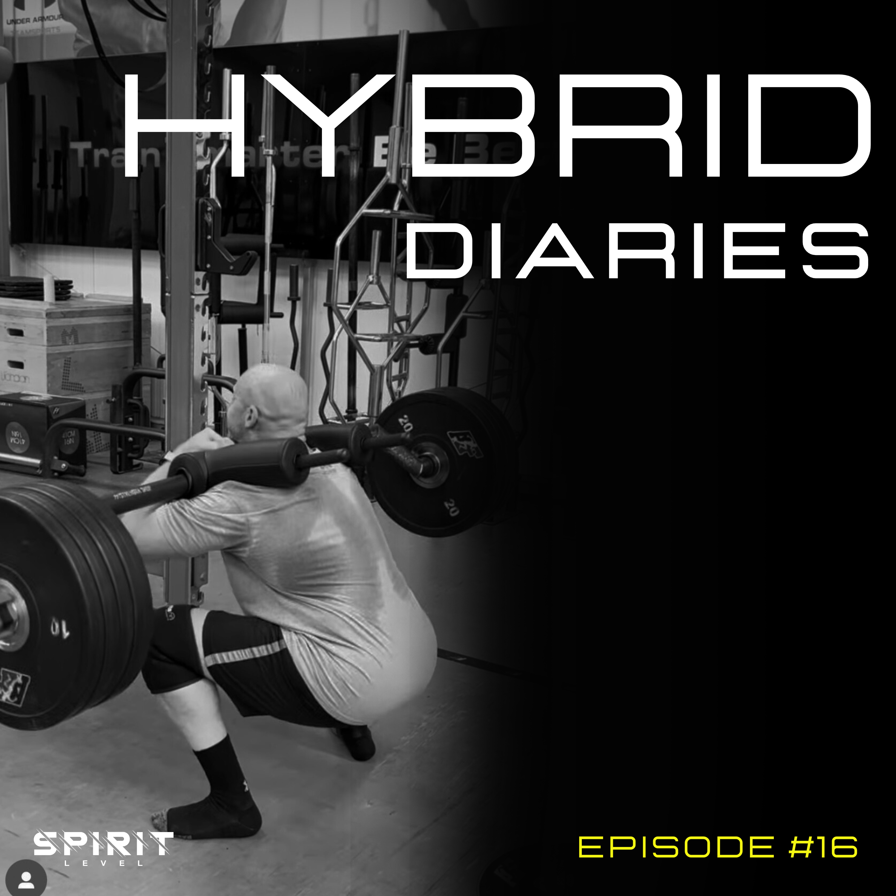 HYBRID DIARIES - Episode #16 Ryan Gibney & the Conjugate method