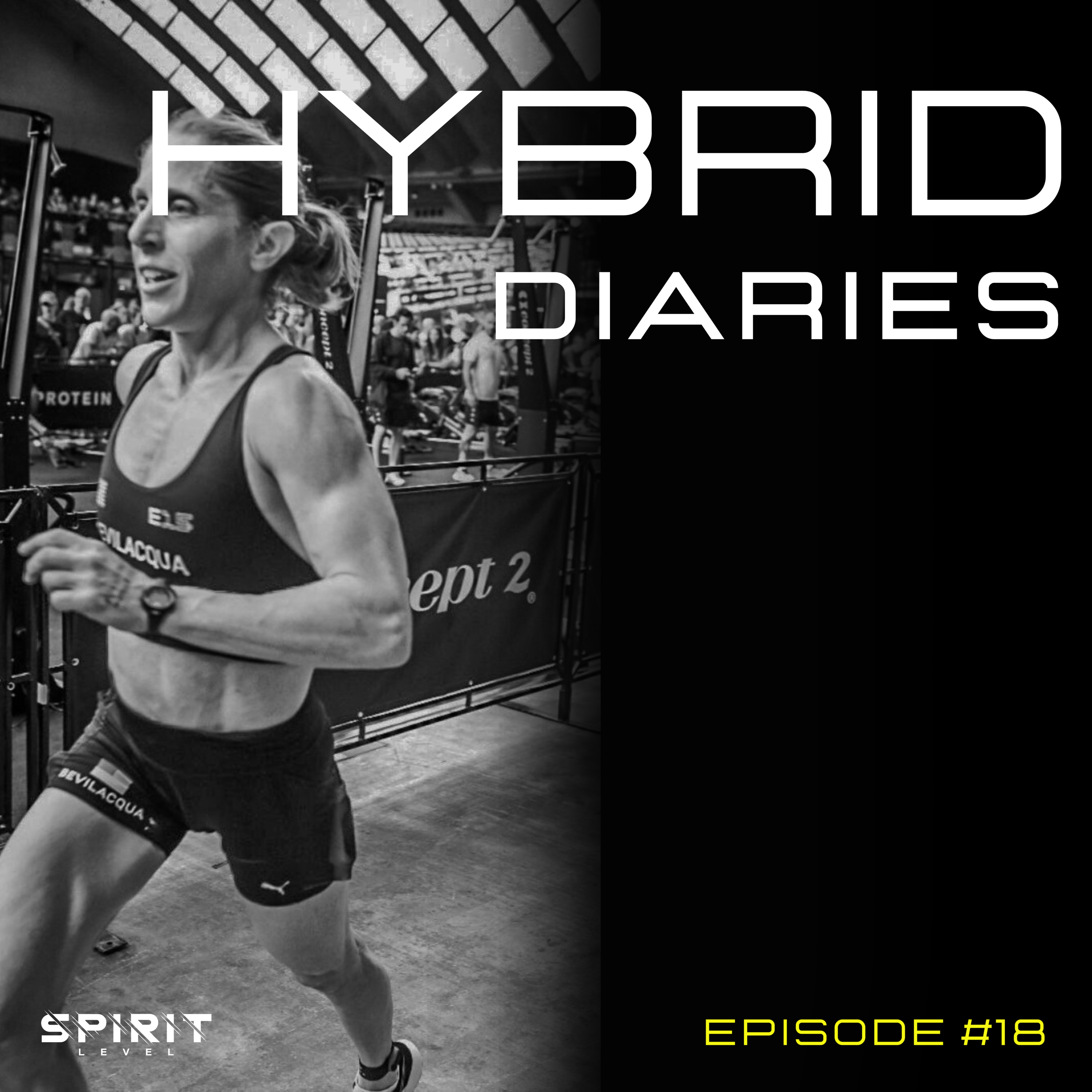 HYBRID DIARIES Episode #18 Amy Bevilacqua