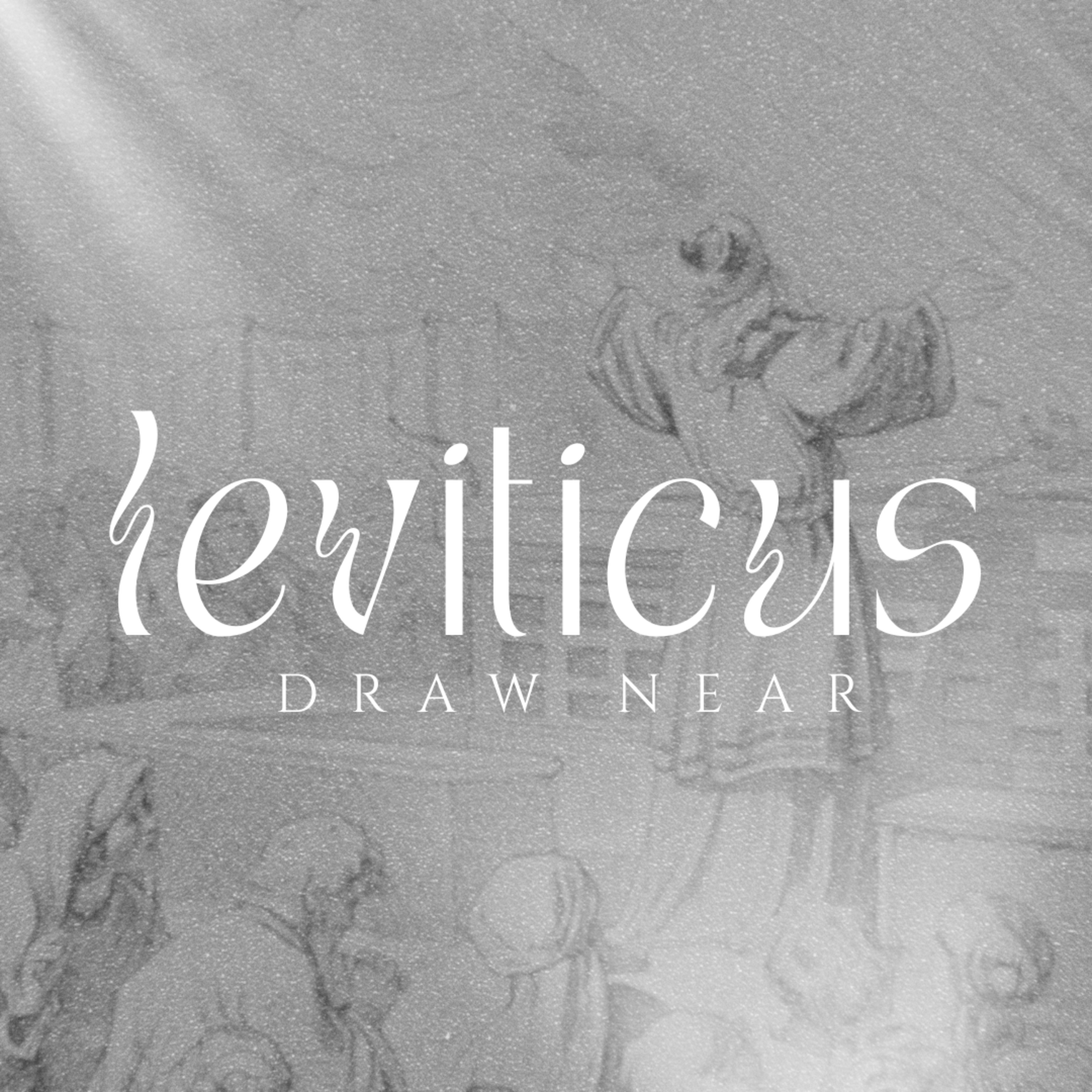 Different (Leviticus 17-20) episode artwork