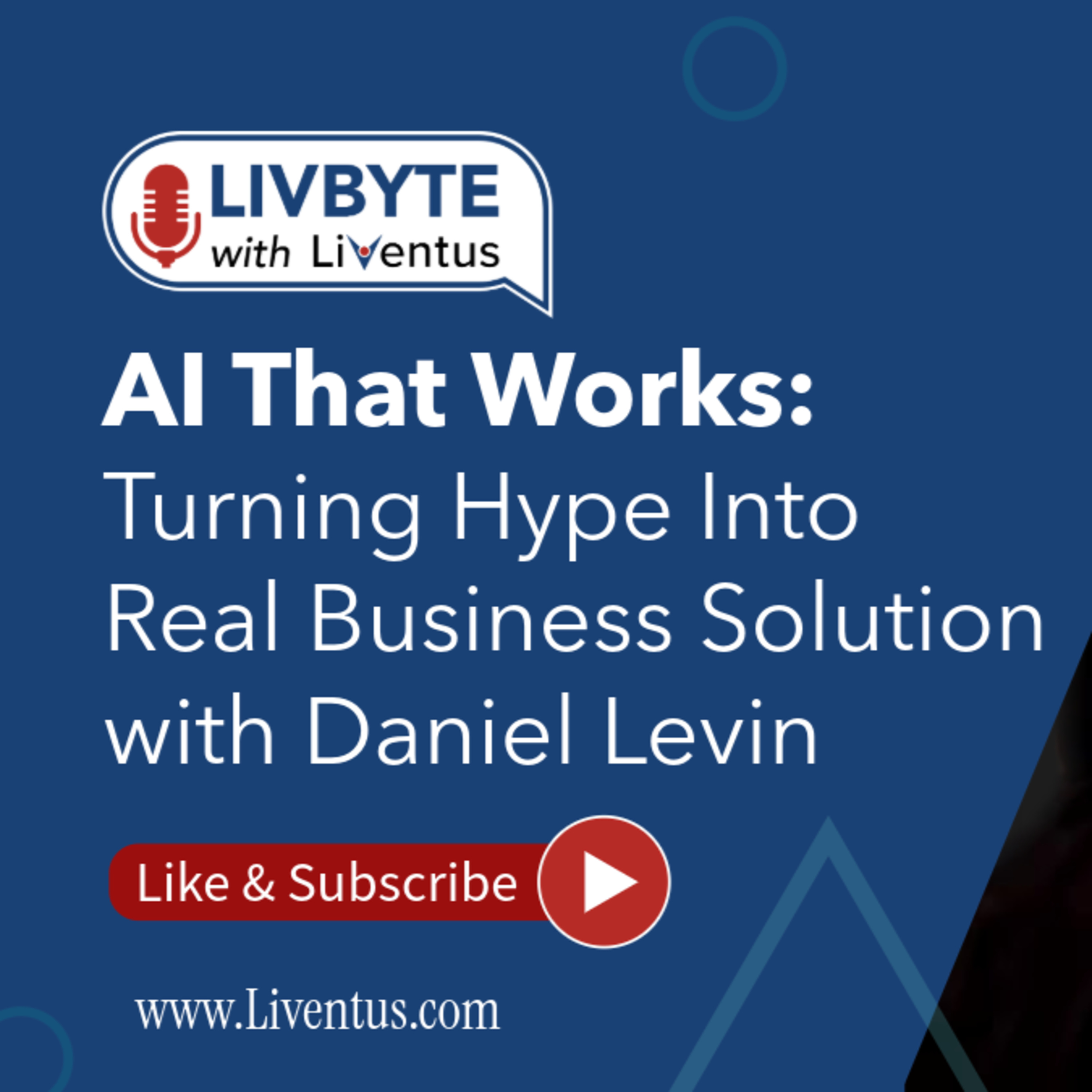 AI That Works: Turning Hype Into Real Business Solution with Daniel Levin