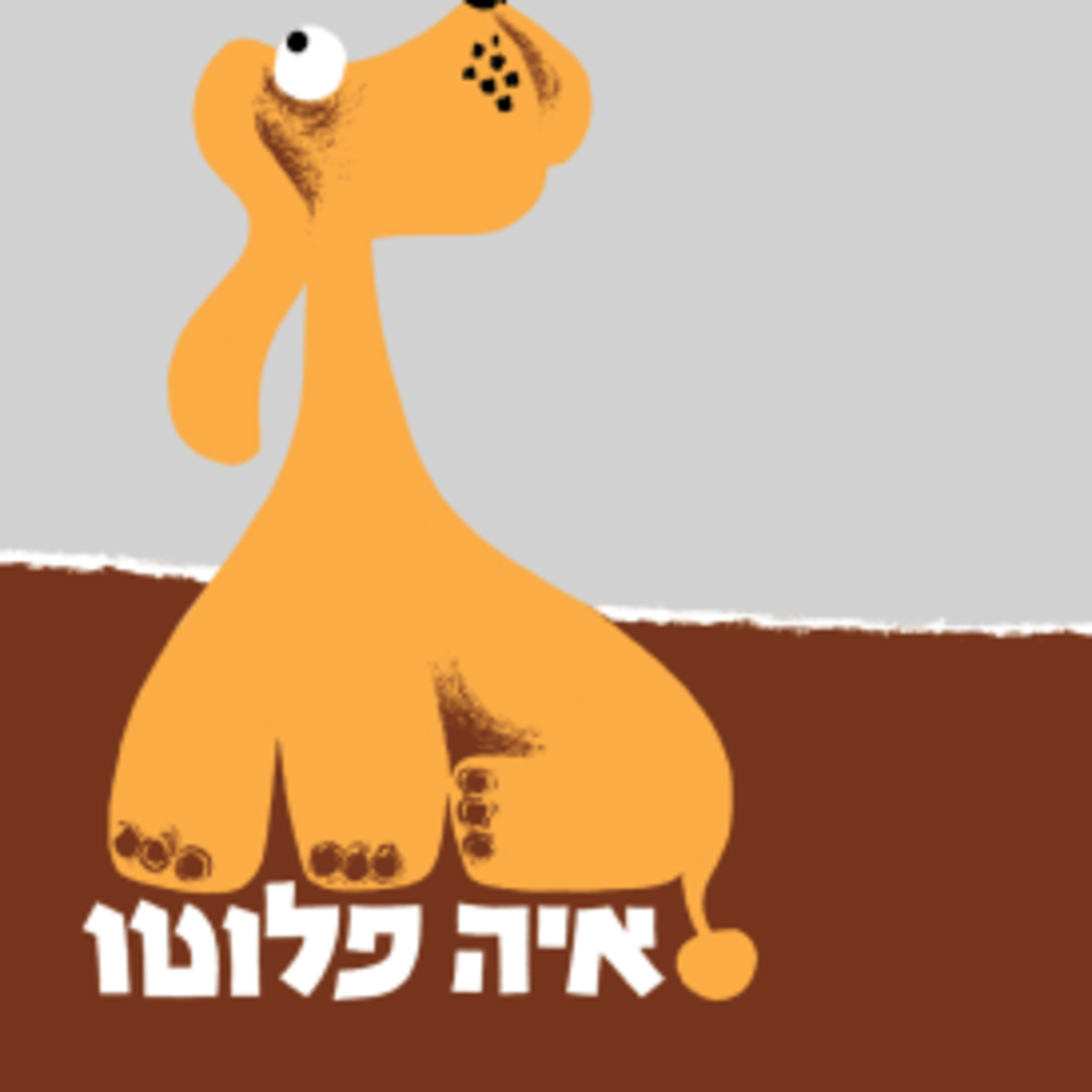 איה פלוטו - פלוטו כלבלב מקבוץ מגידו