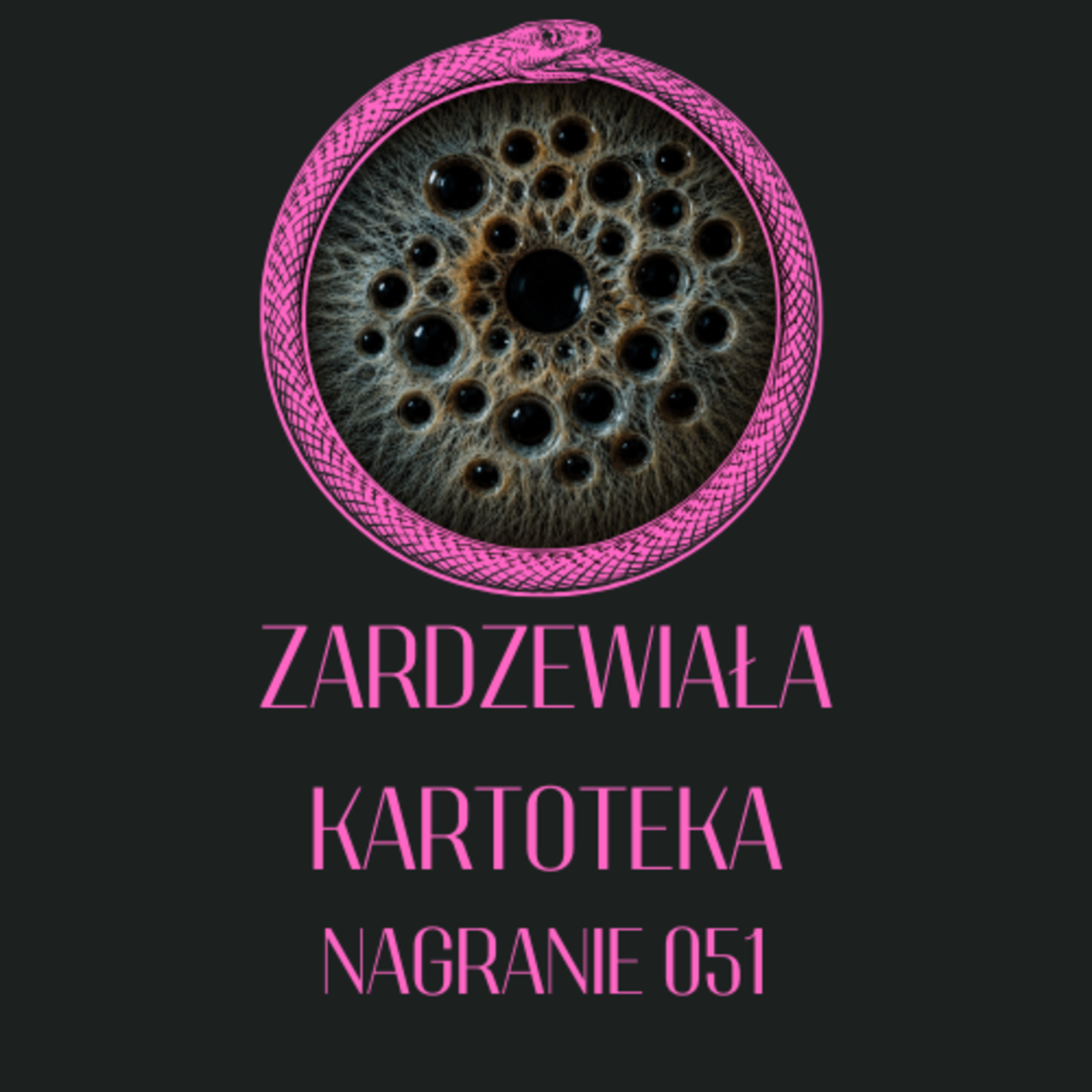 ZK 051 - Pierwszy Widz episode artwork