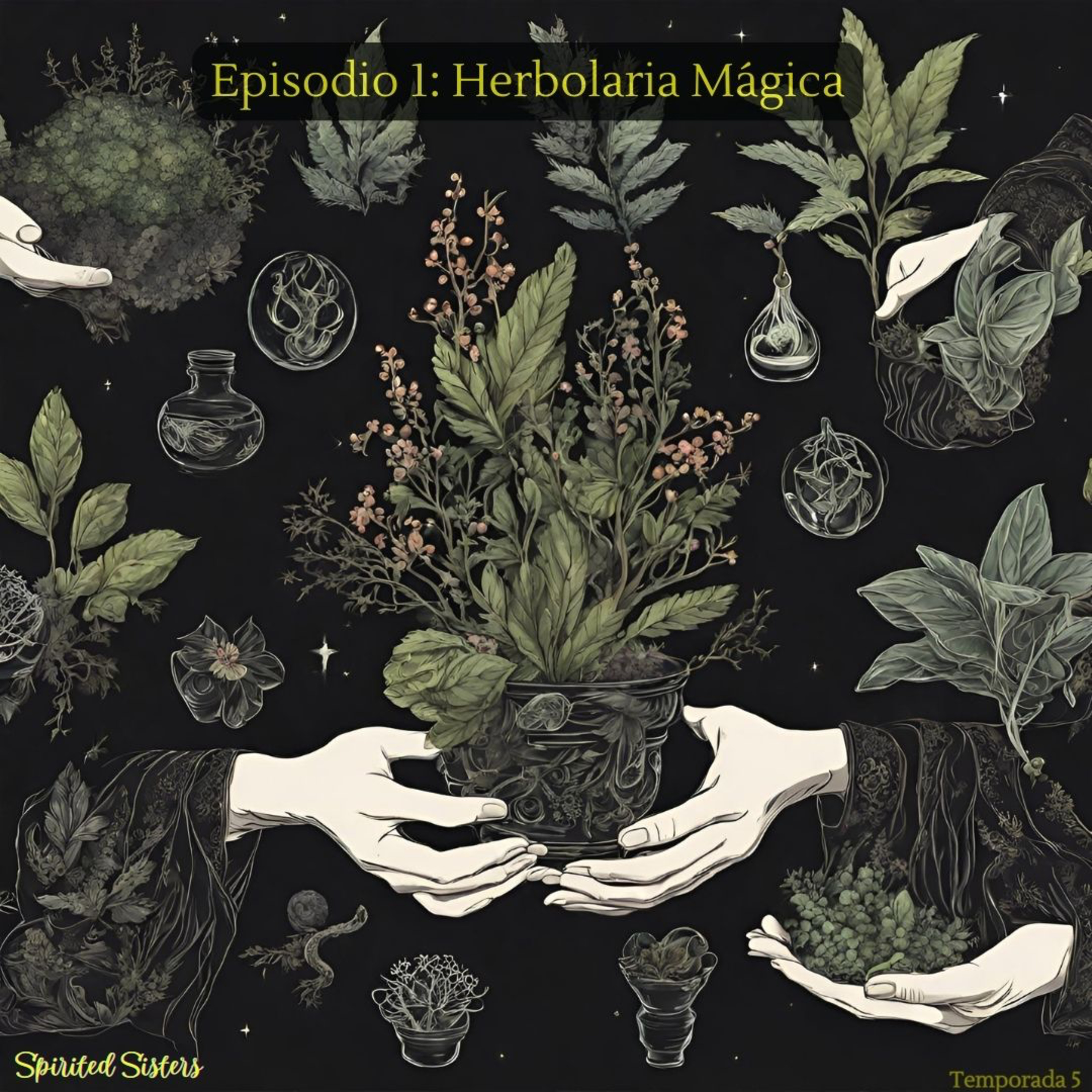 Herbolaria Mágica episode artwork