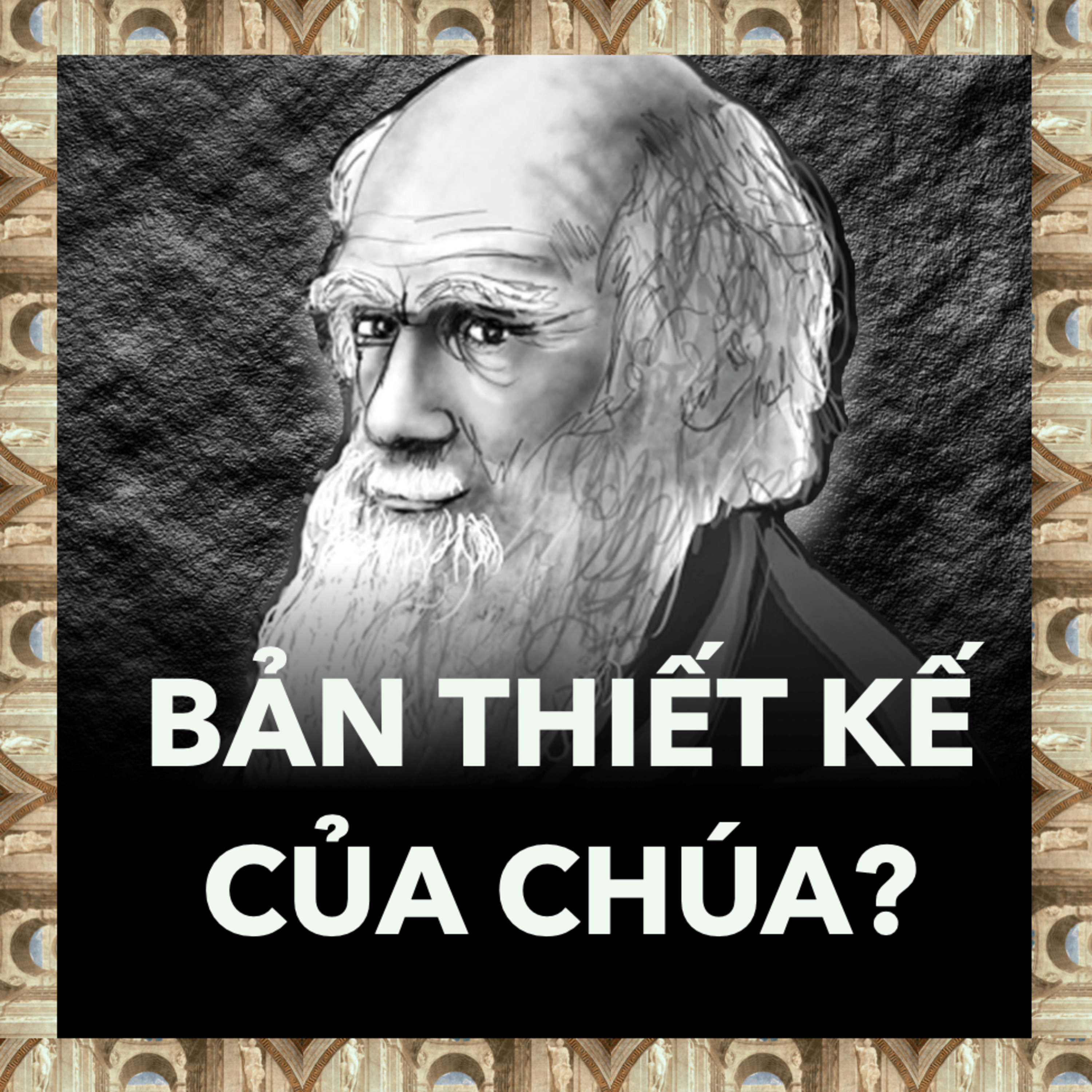 Darwin Đã Bát Bỏ Quan Điểm Truyền Thống Như Thế Nào? | Triết Học Tập 22 episode artwork