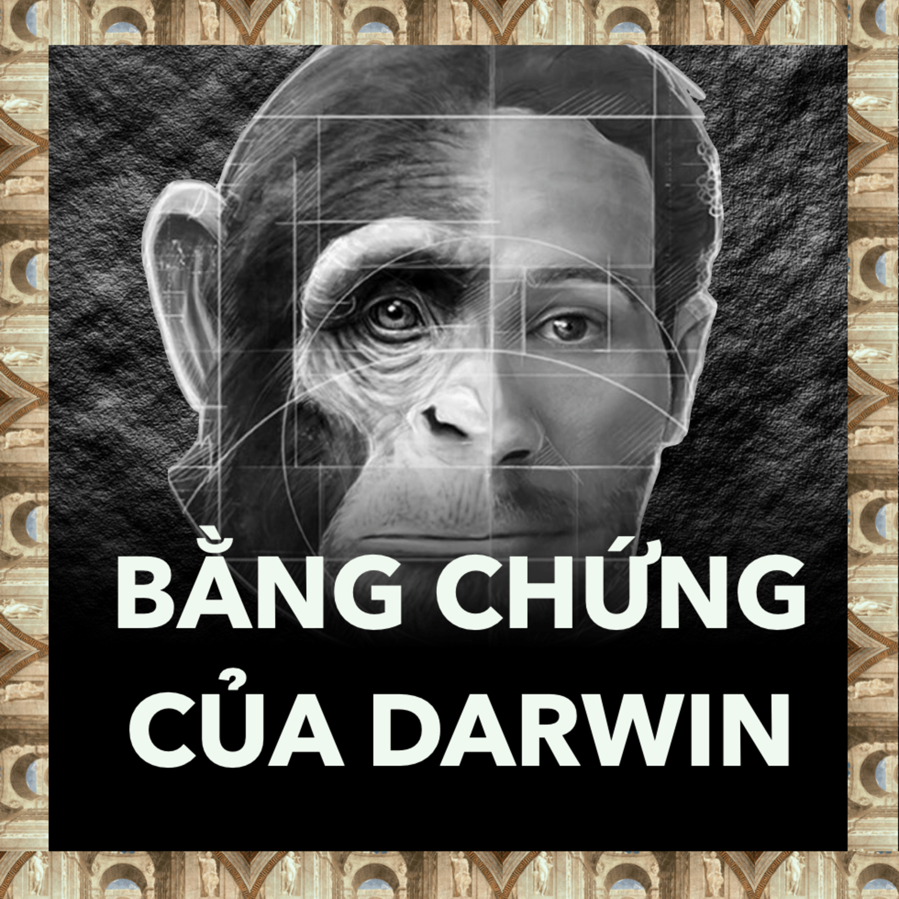  Vì Sao Con Người Có Chân, Con Khỉ Cũng Có Chân? | Triết Học Tập 23 episode artwork