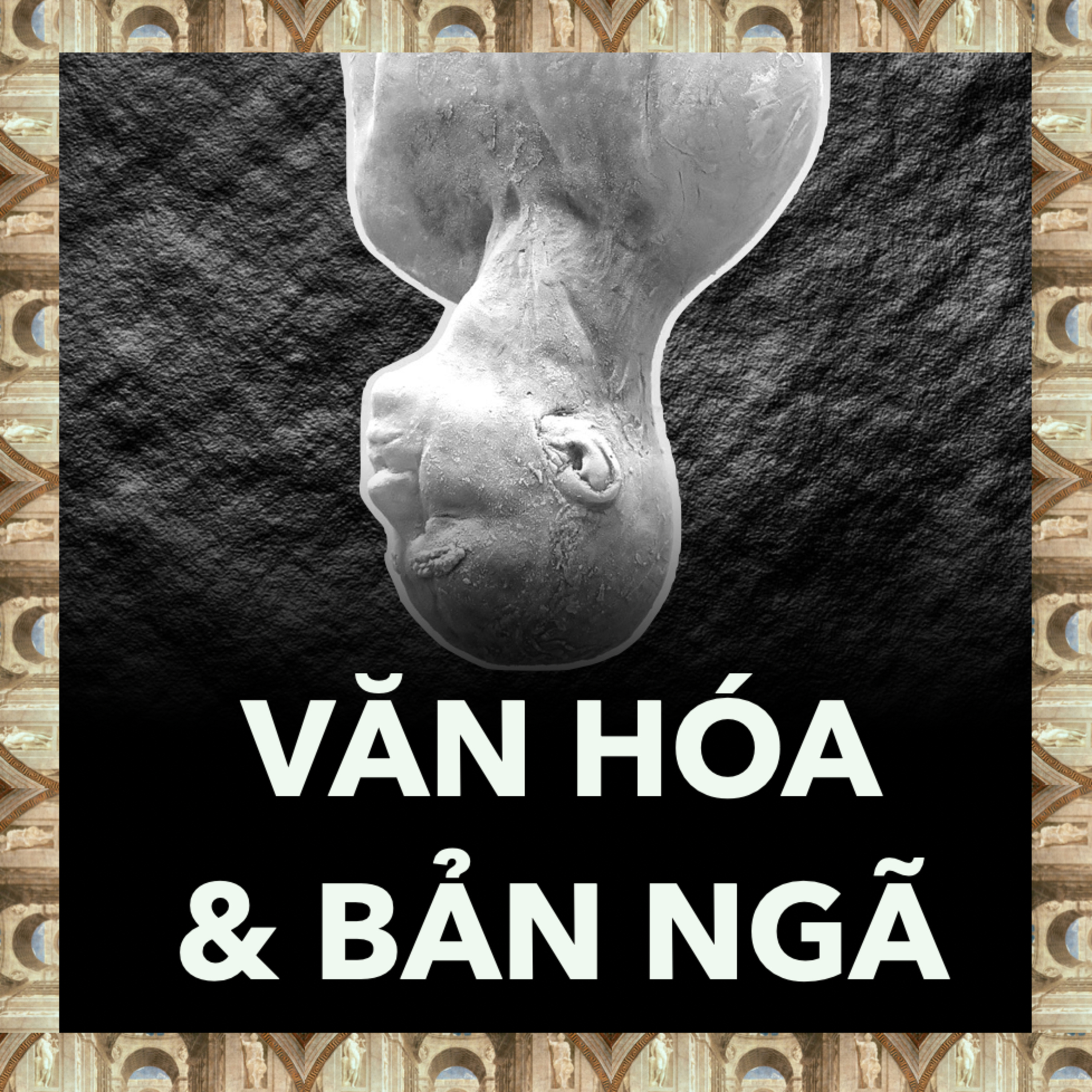 Văn Hoá Đang "Uốn Nắn" Con Người Bạn? | Triết Học Tập 50 episode artwork