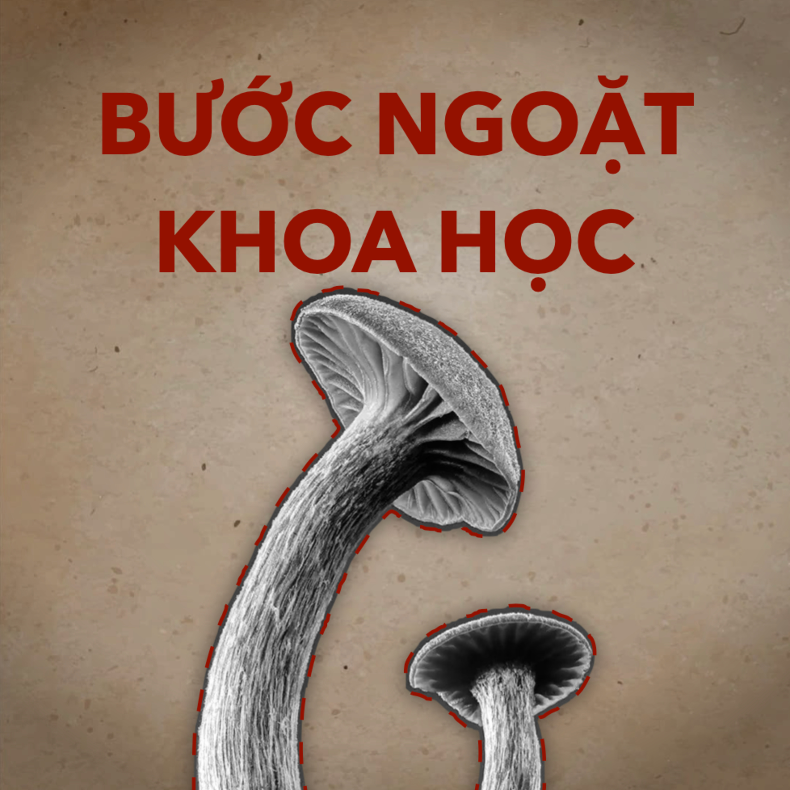 Có Bao Nhiêu Nhà Khoa Học Có Bấy Nhiêu Loại Khoa Học? | Tâm Lý Học S.1 E.7 episode artwork