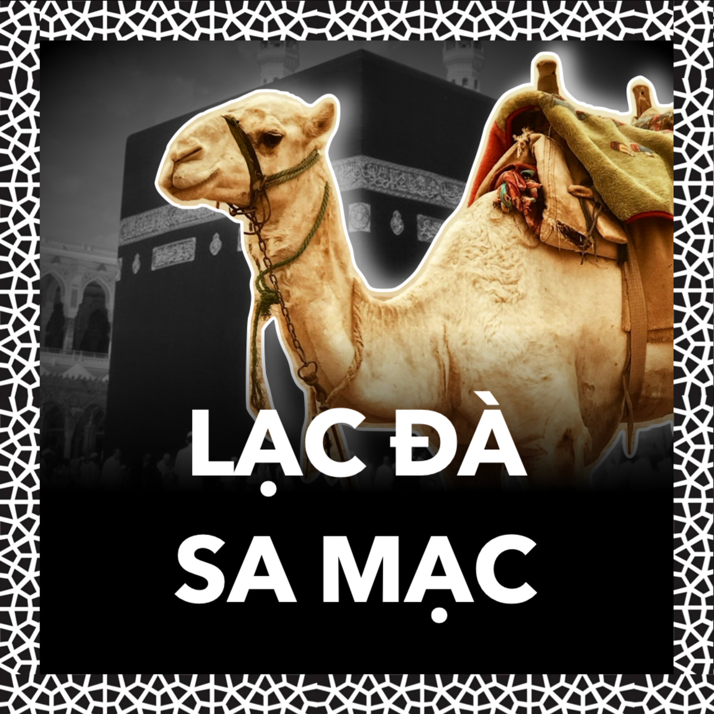 Lạc Đà: Hành Trình Vượt 75.000 Dặm Của Ibn Battuta | Lịch Sử S.3 E.20 episode artwork