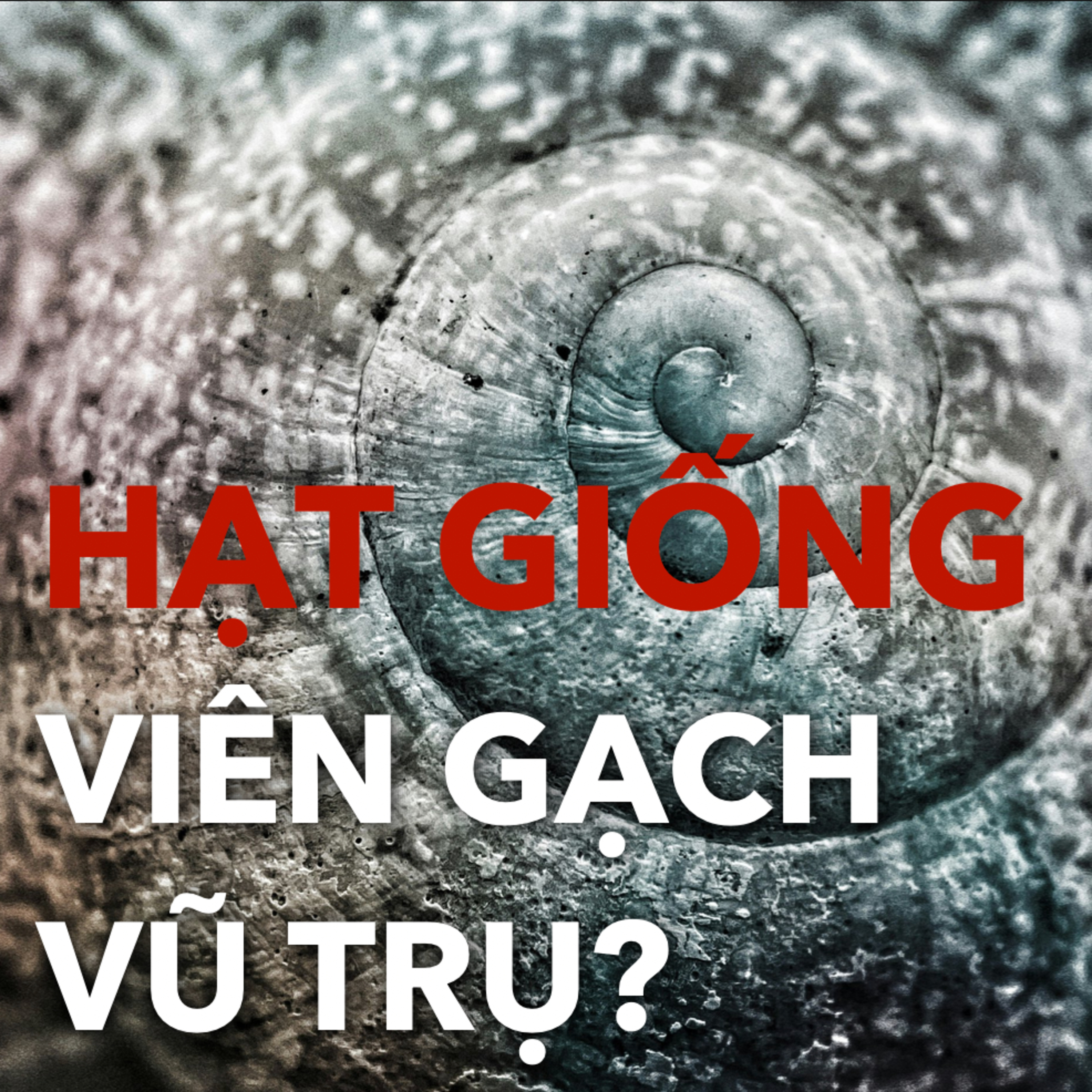 Anaxagoras & Thực Tại | Tâm Lý Học S.2 E.9 episode artwork