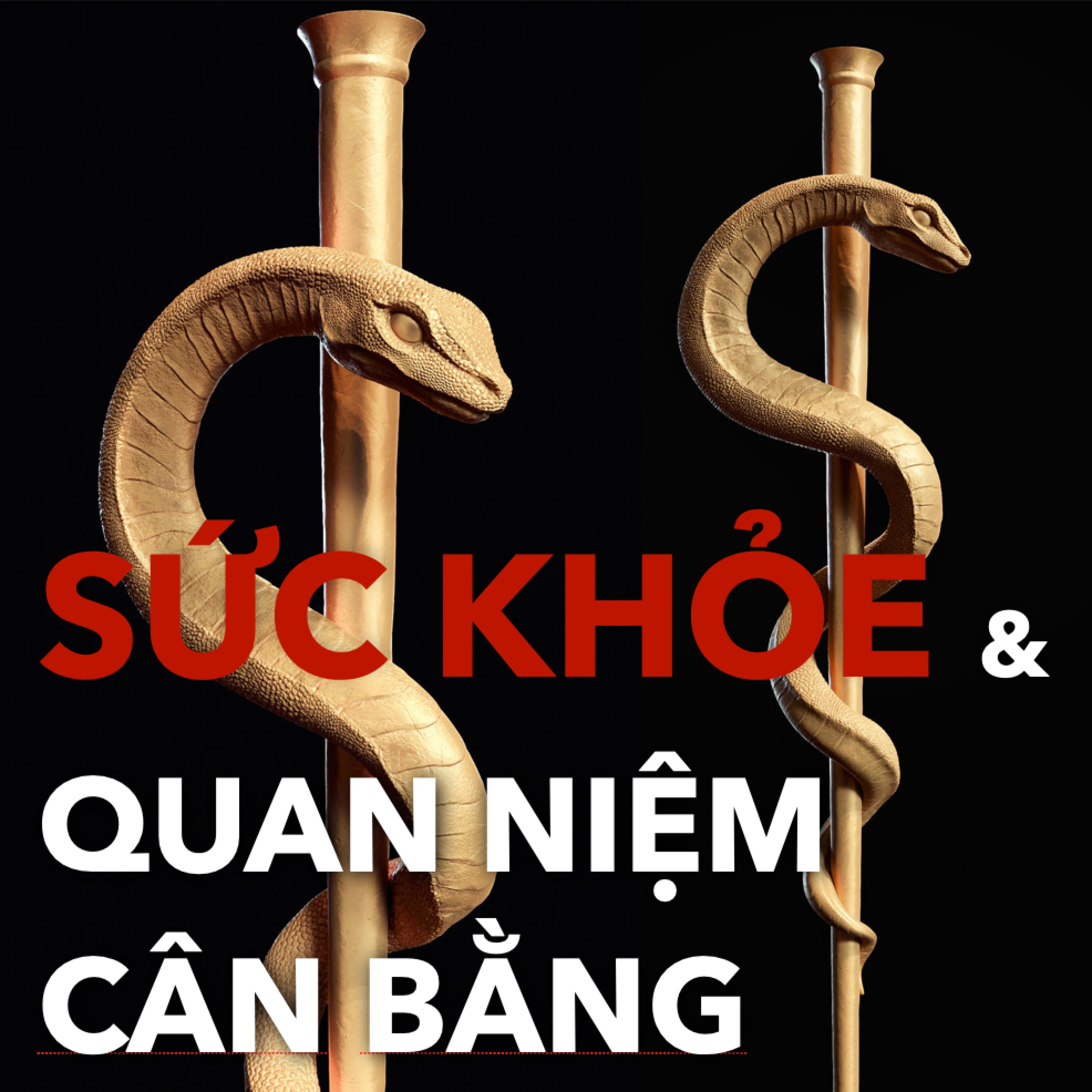 Alcmaeon & Quan Niệm Cách Mạng | Tâm Lý Học S.2 E.11 episode artwork