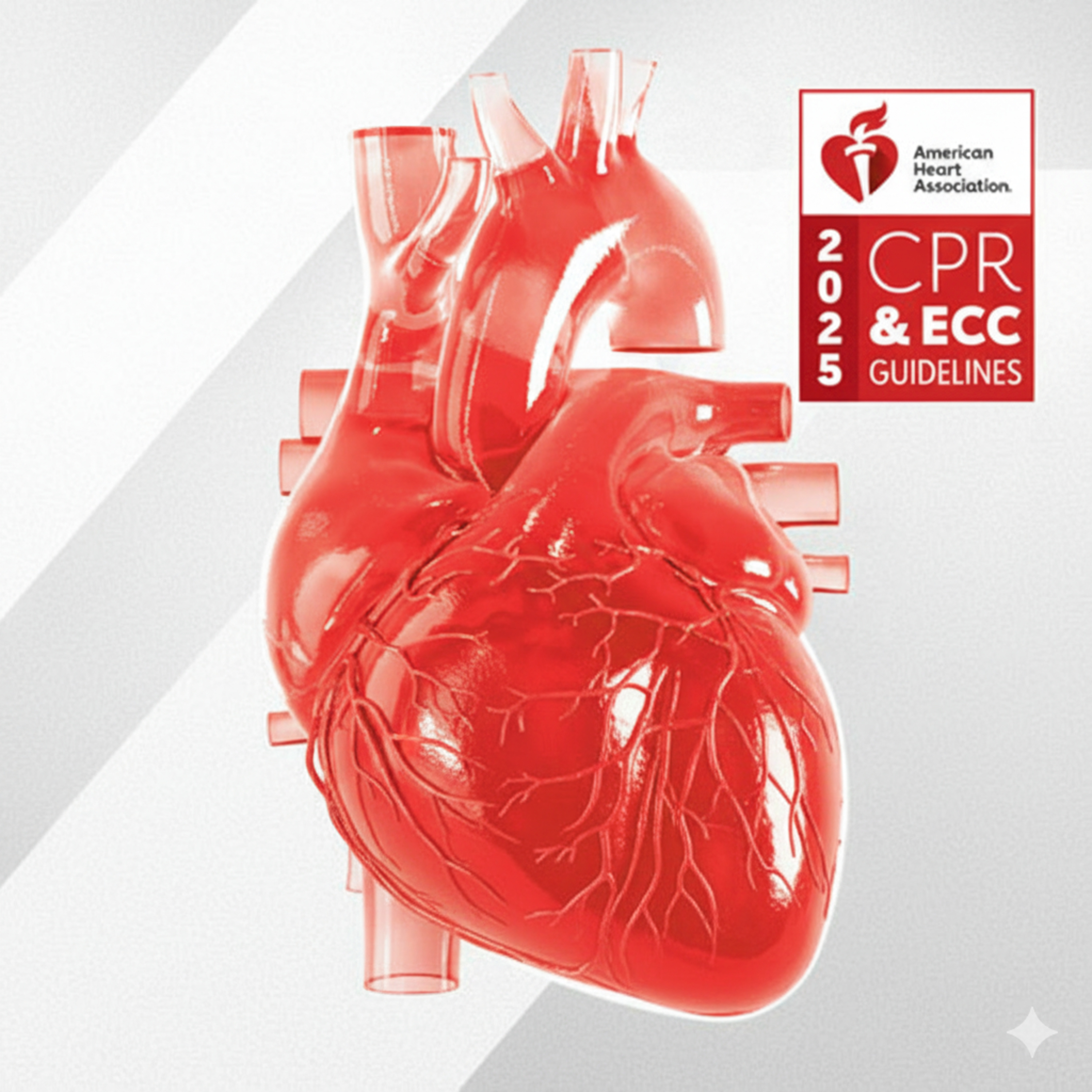 Kardiyopulmoner Resüsitasyon (CPR) Kılavuzu 2025 episode artwork