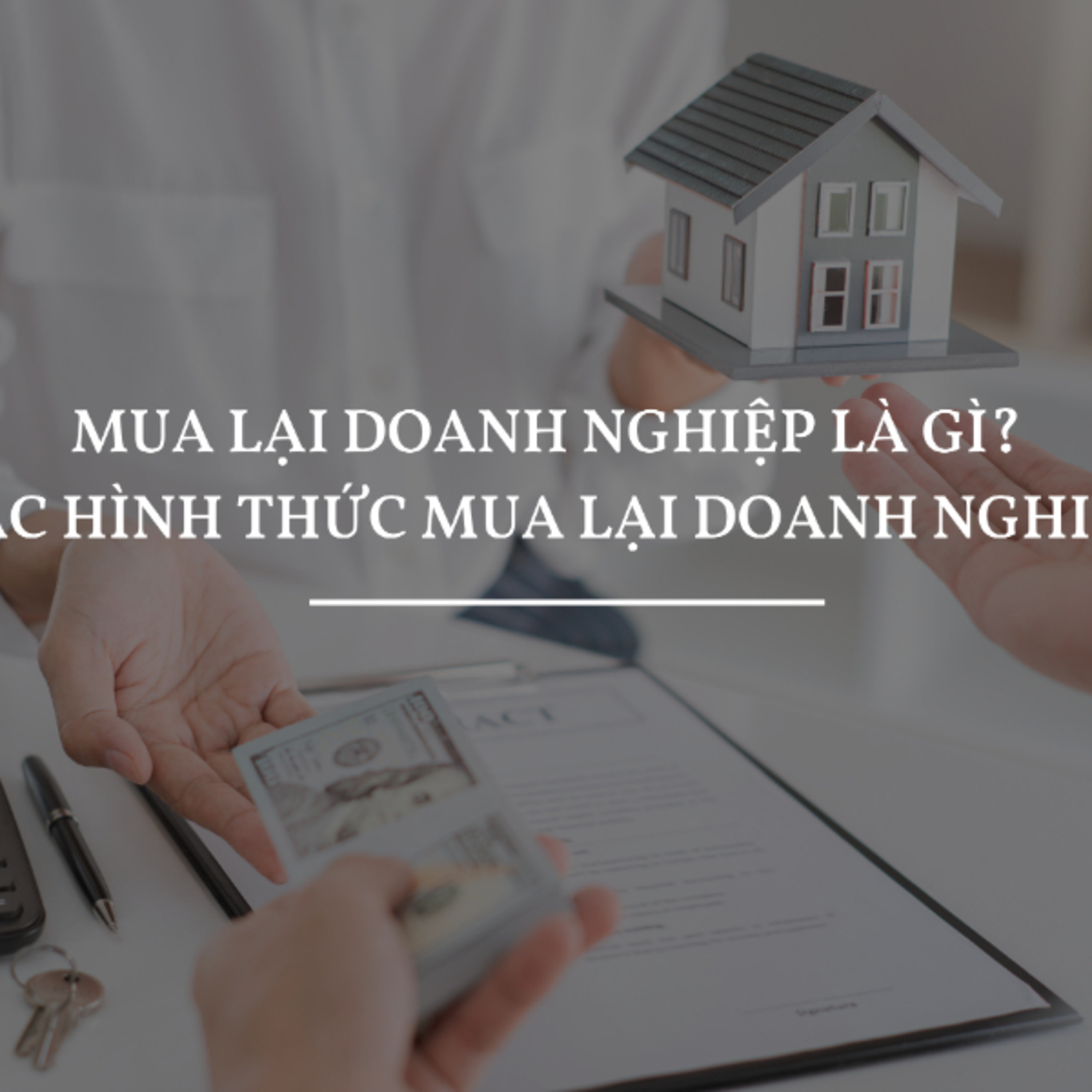 Apolat Legal