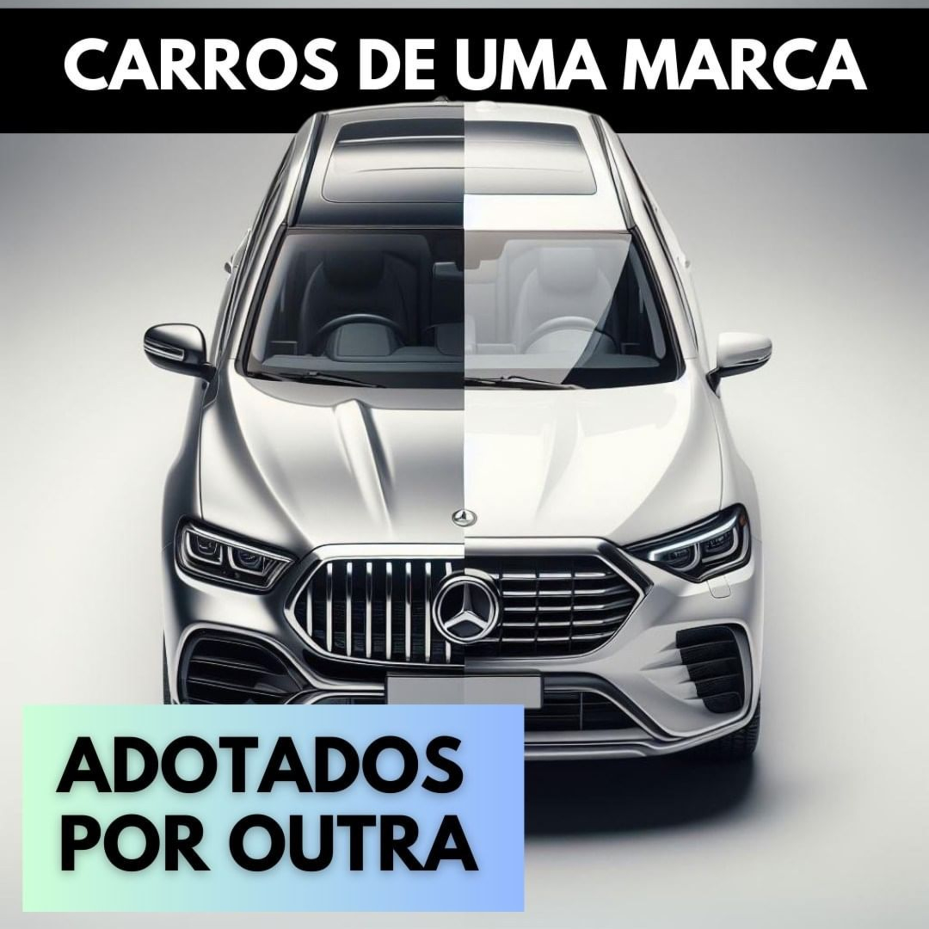 Canal Carro