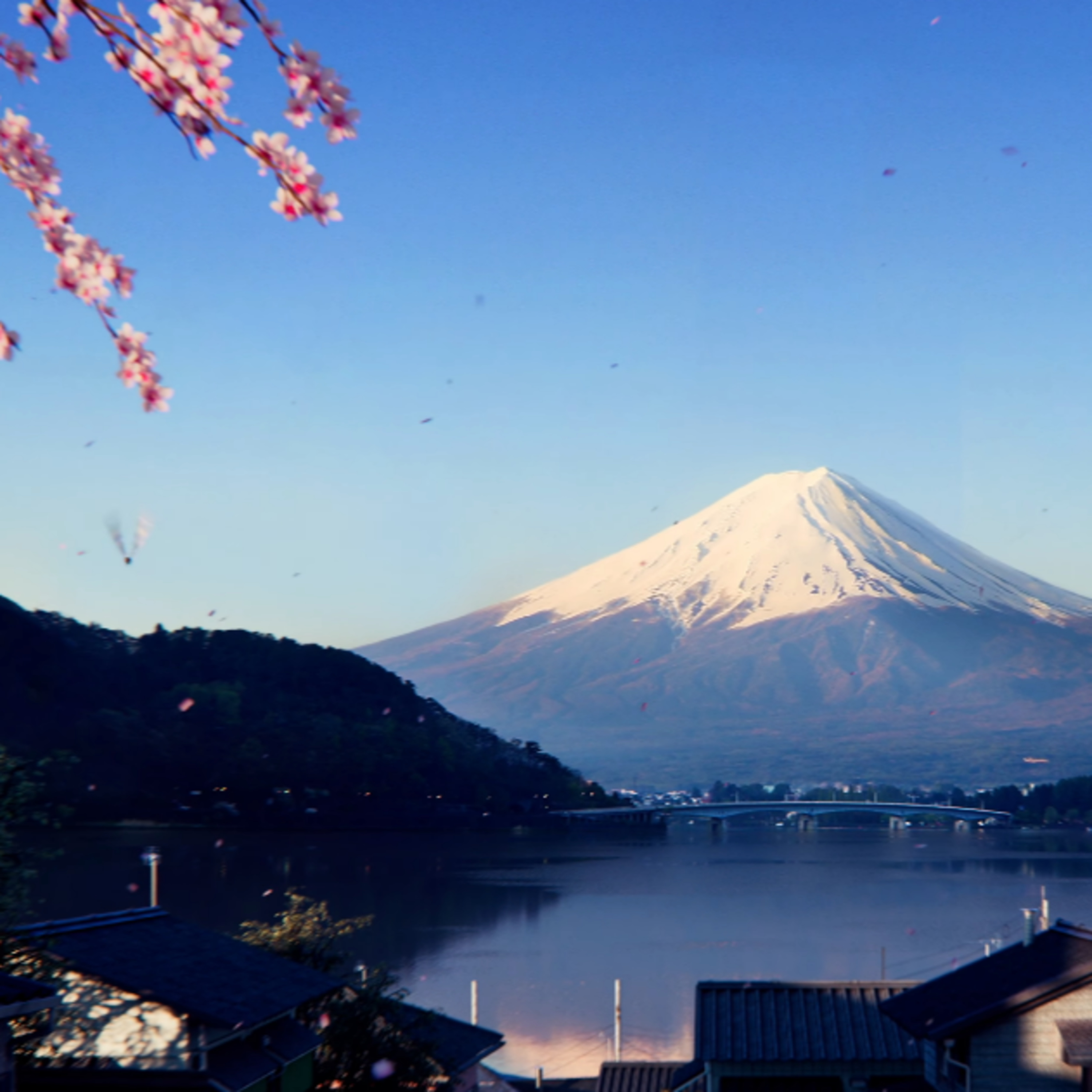 Episode 282 | "Let's take a drive to Japan!"