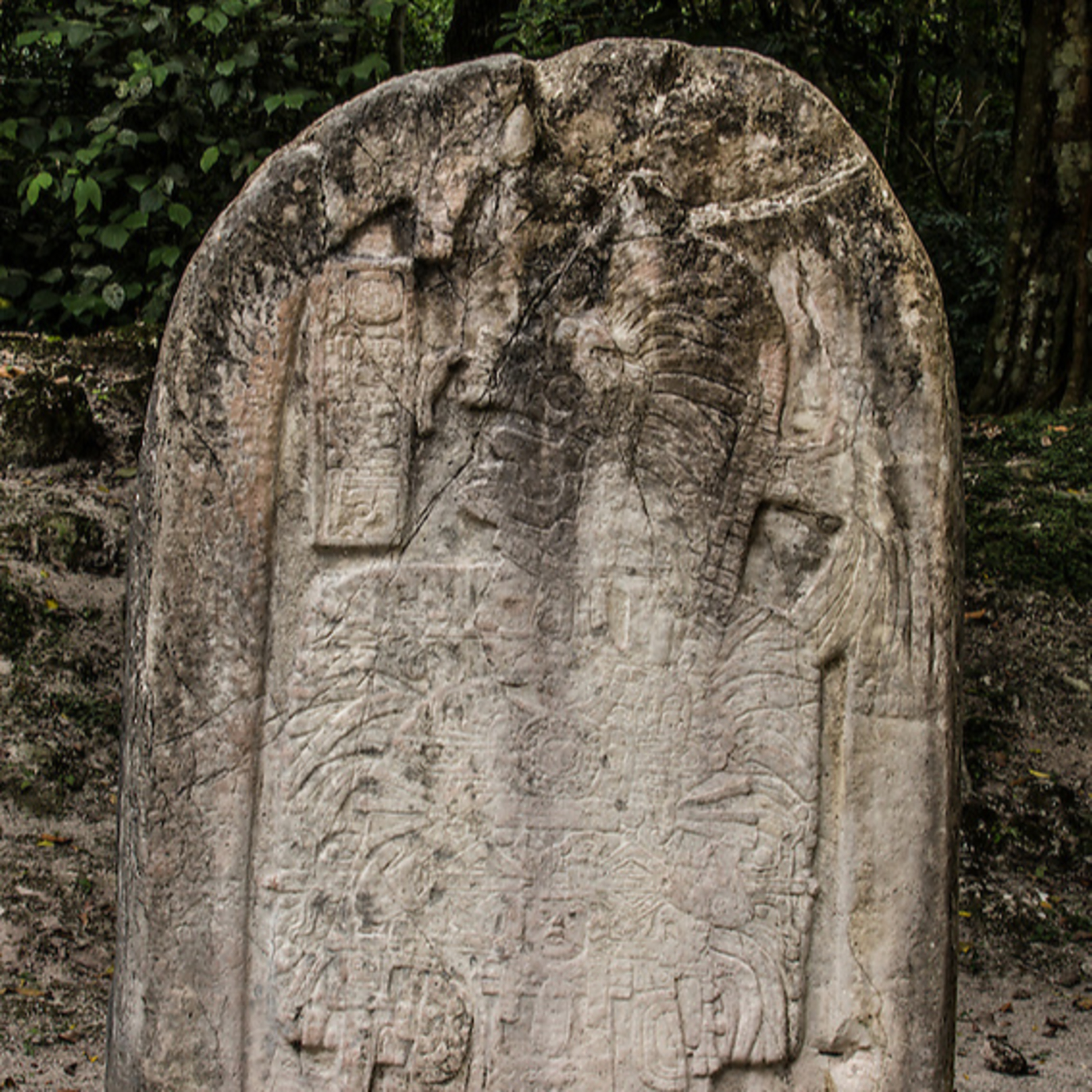 History List