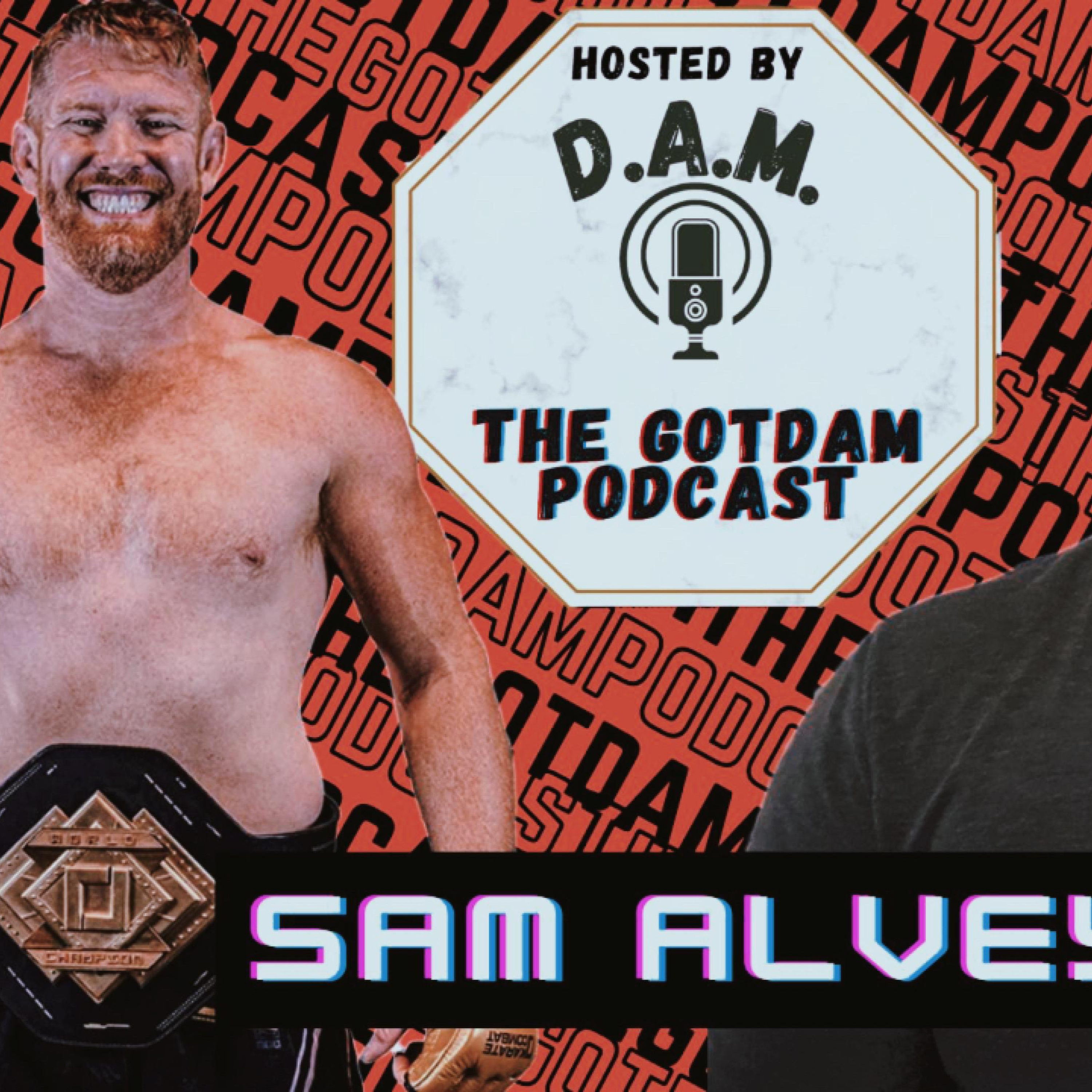 GotDAM MMA Podcast