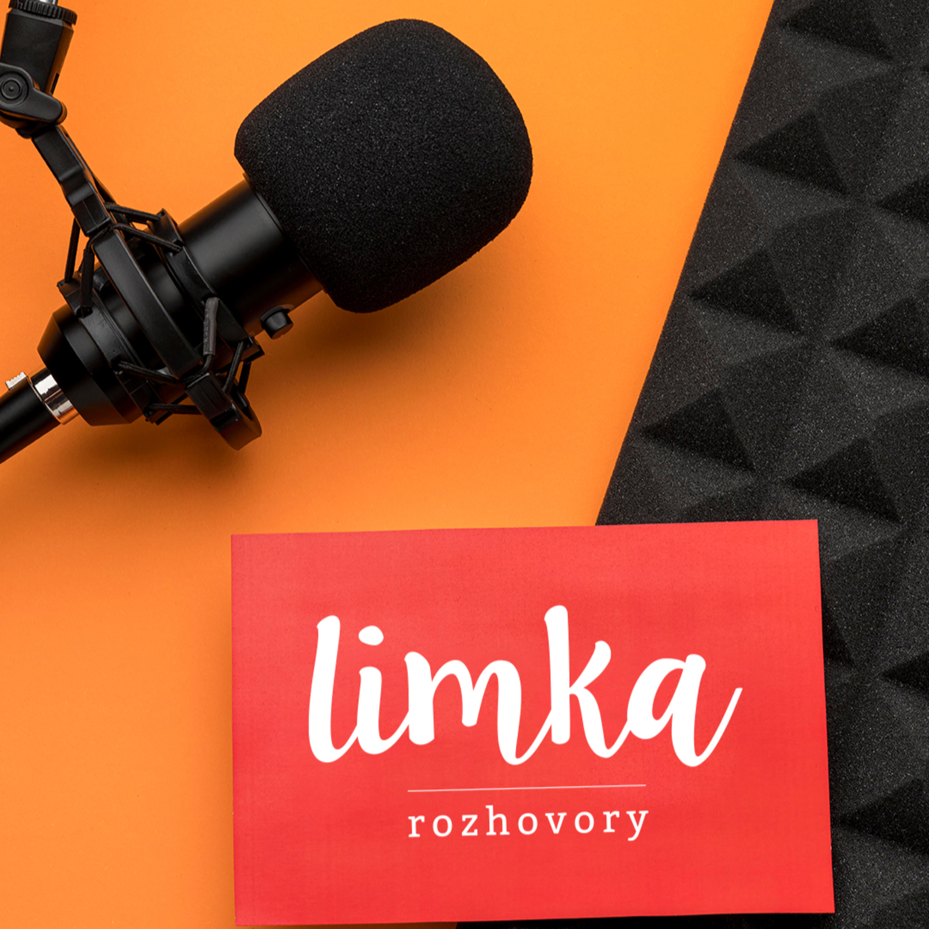 Limka ROZHOVORY