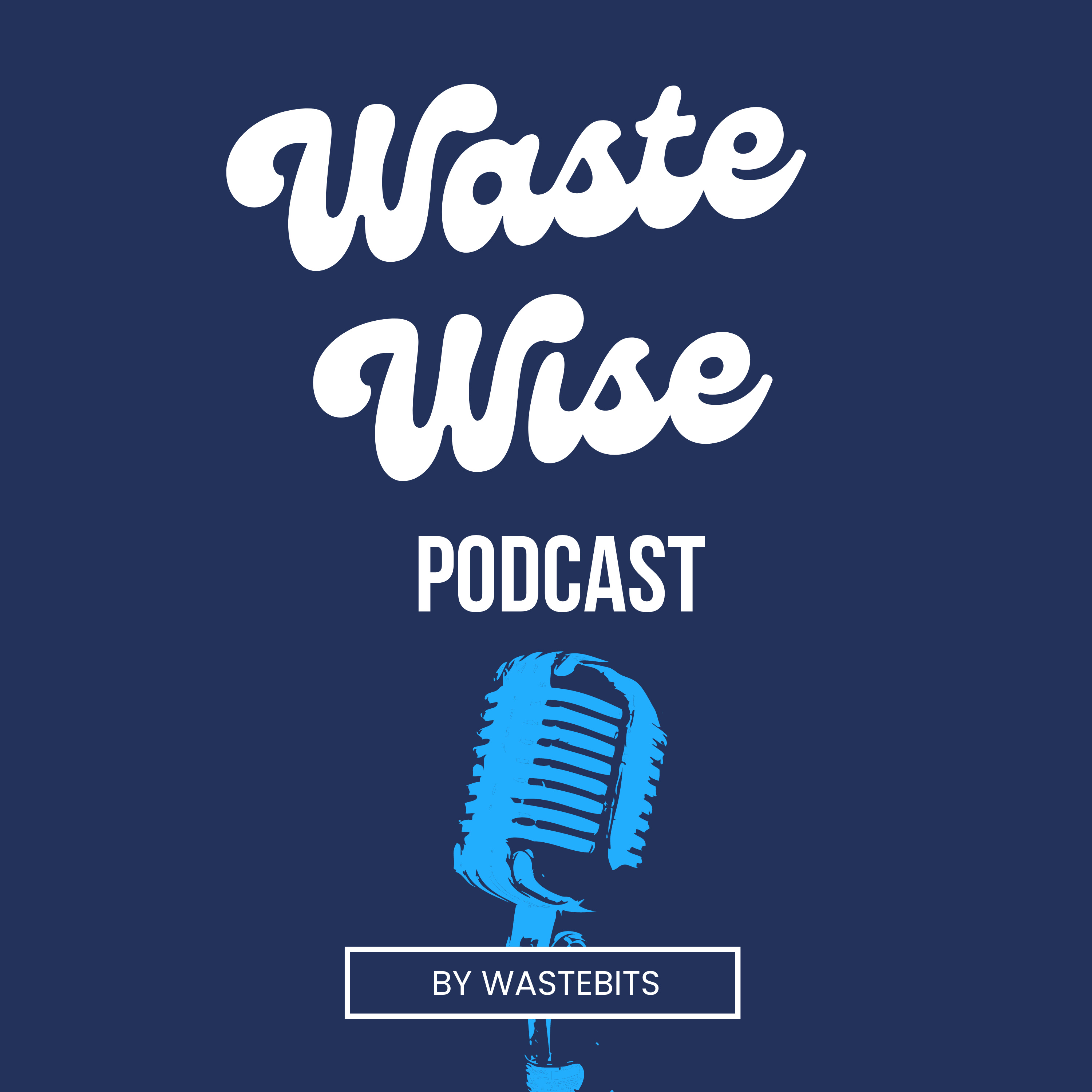ESG Explained: What Environmental, Social, and Governance Mean for Businesses and Investors episode artwork