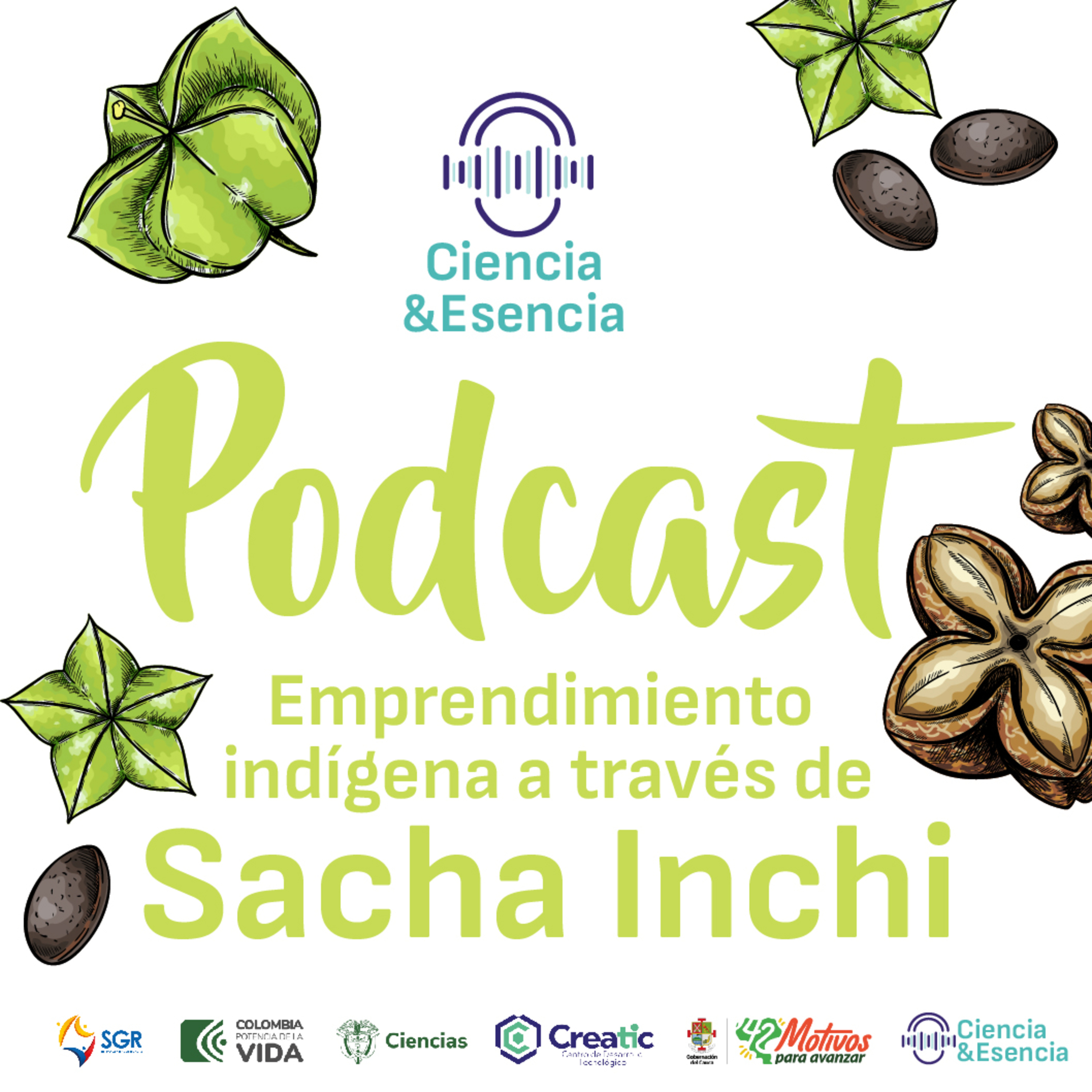 Emprendimiento indígena a través del Sacha Inchi episode artwork