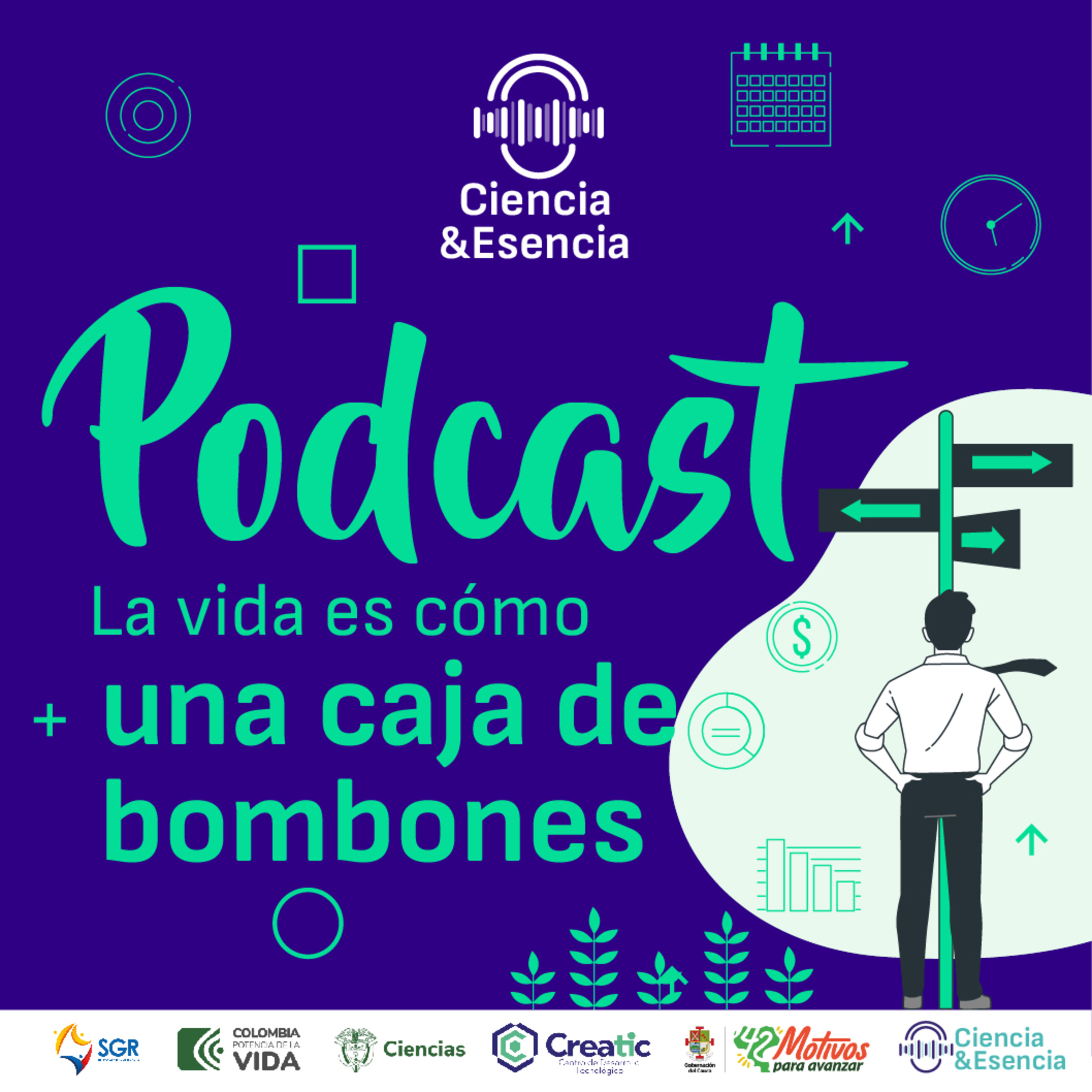 La vida es como una caja de bombones episode artwork