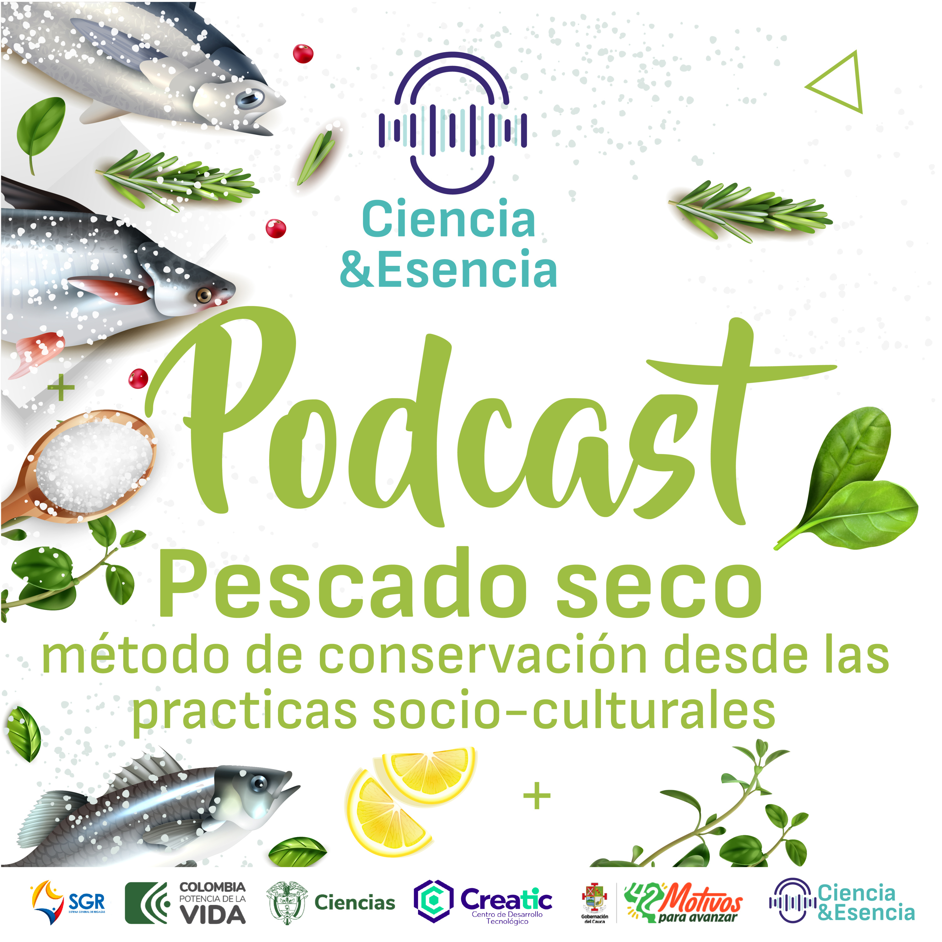 Pescado seco, método de conservación desde las prácticas socio - culturales episode artwork