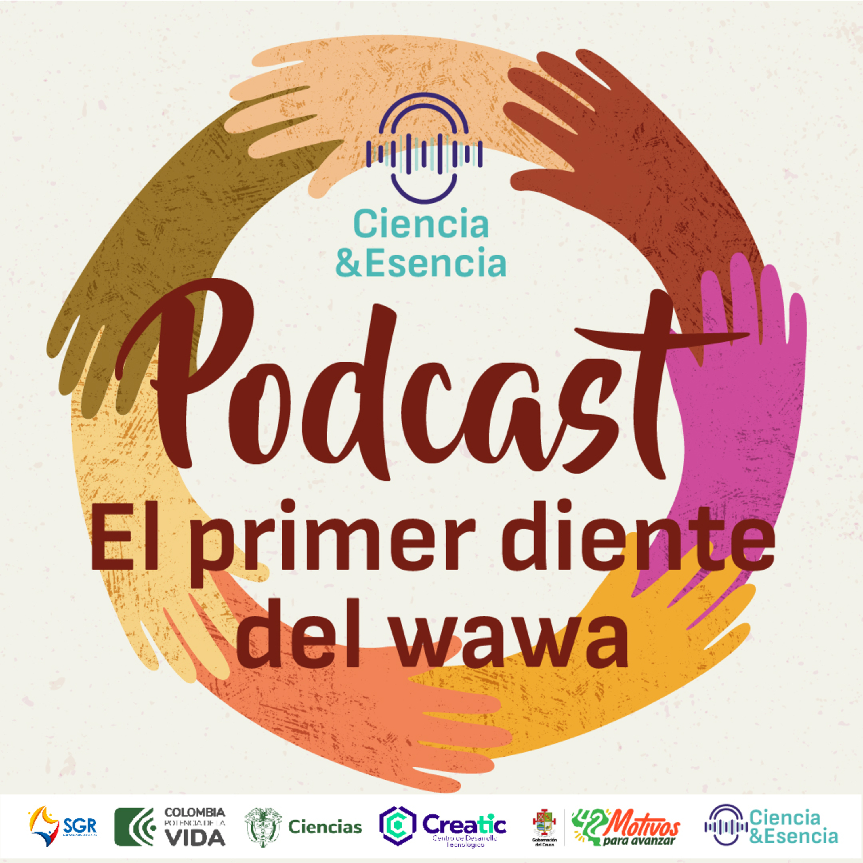 El primer diente del wawa episode artwork