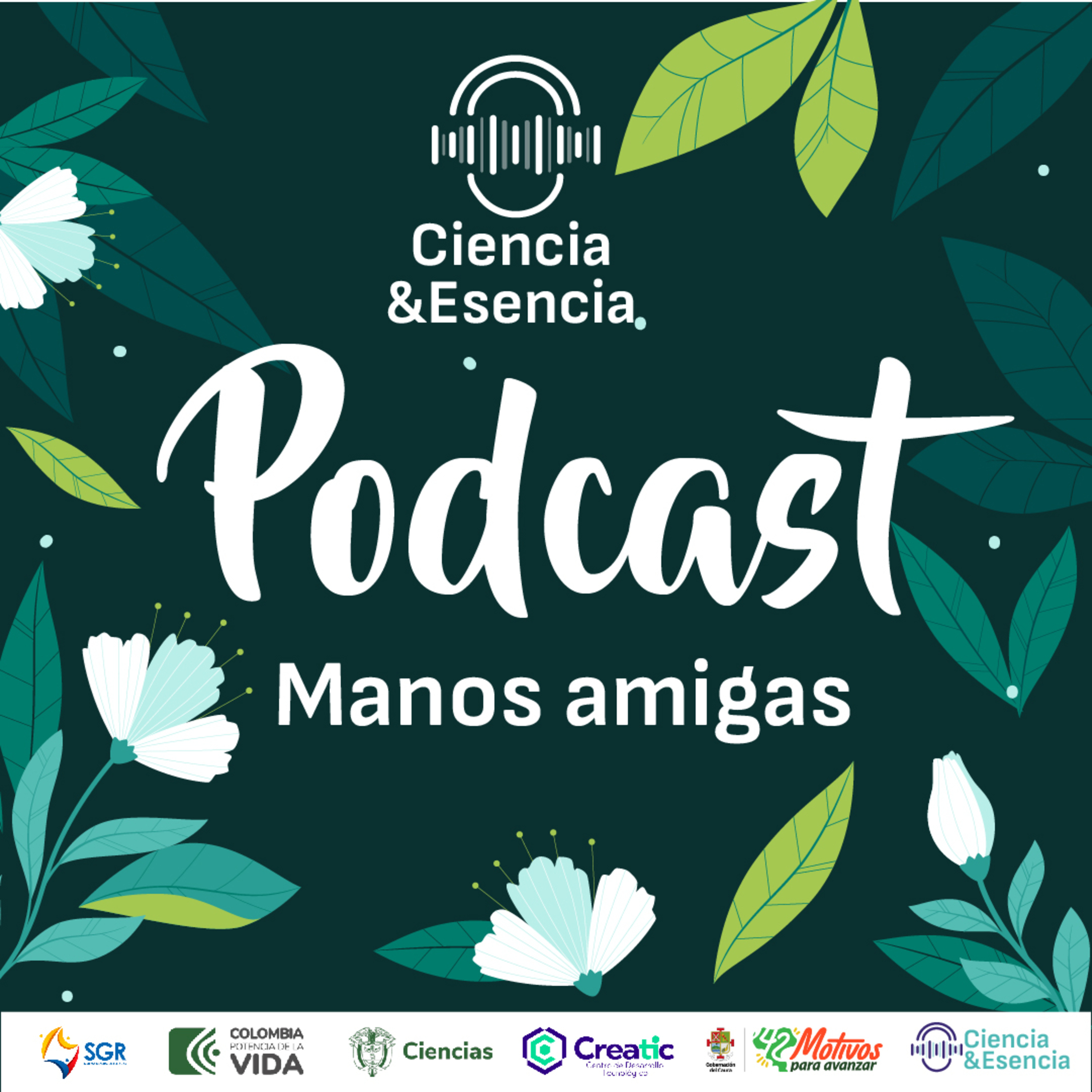 Manos amigas - Episodio I episode artwork