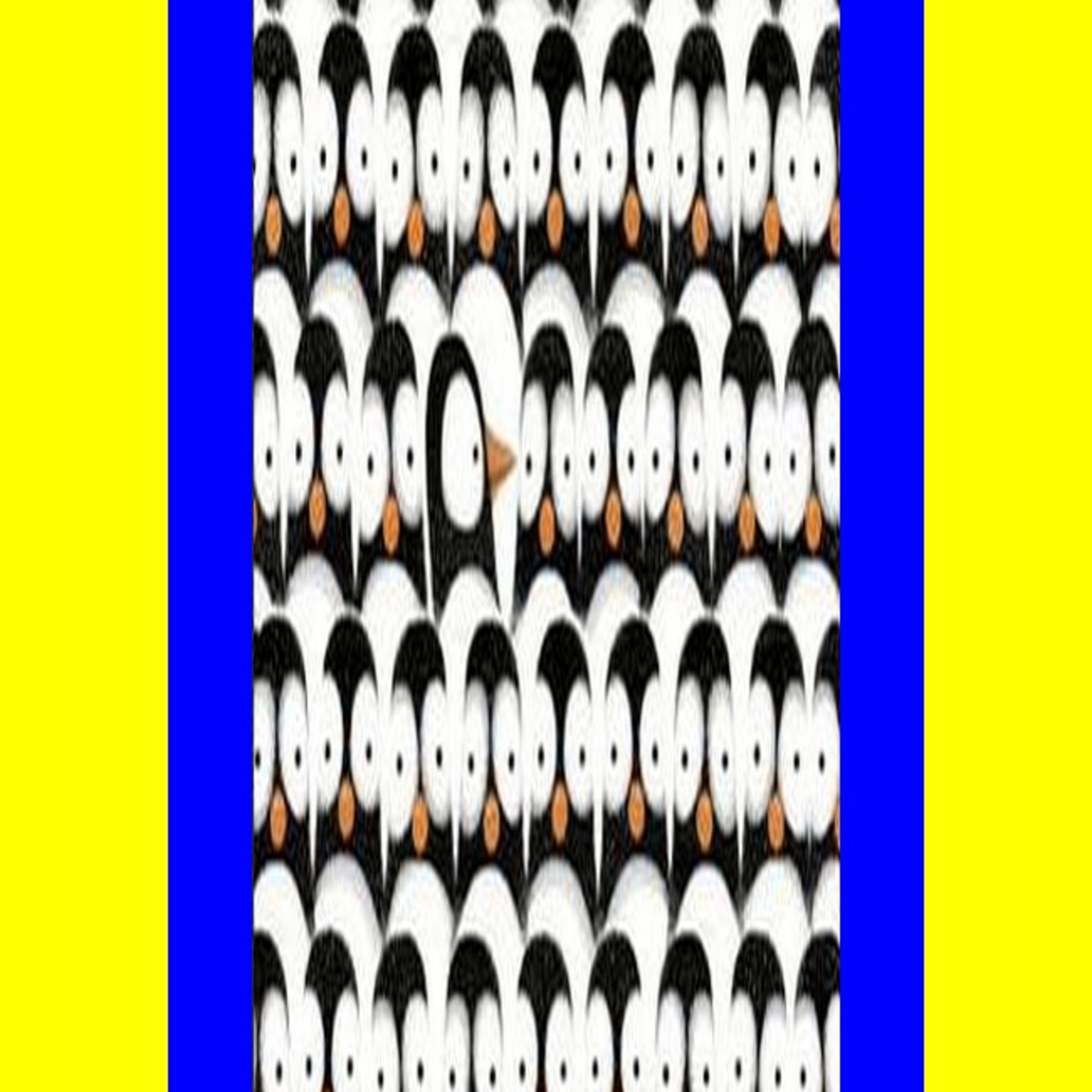 leylamciyla