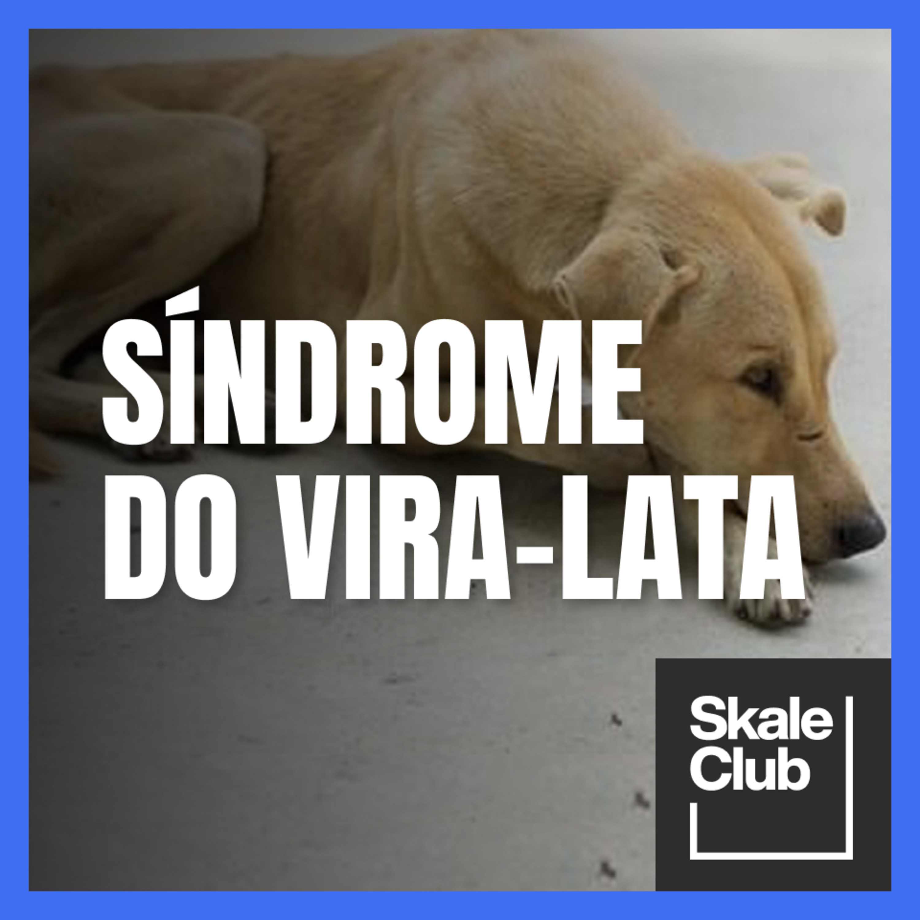 Skale Club