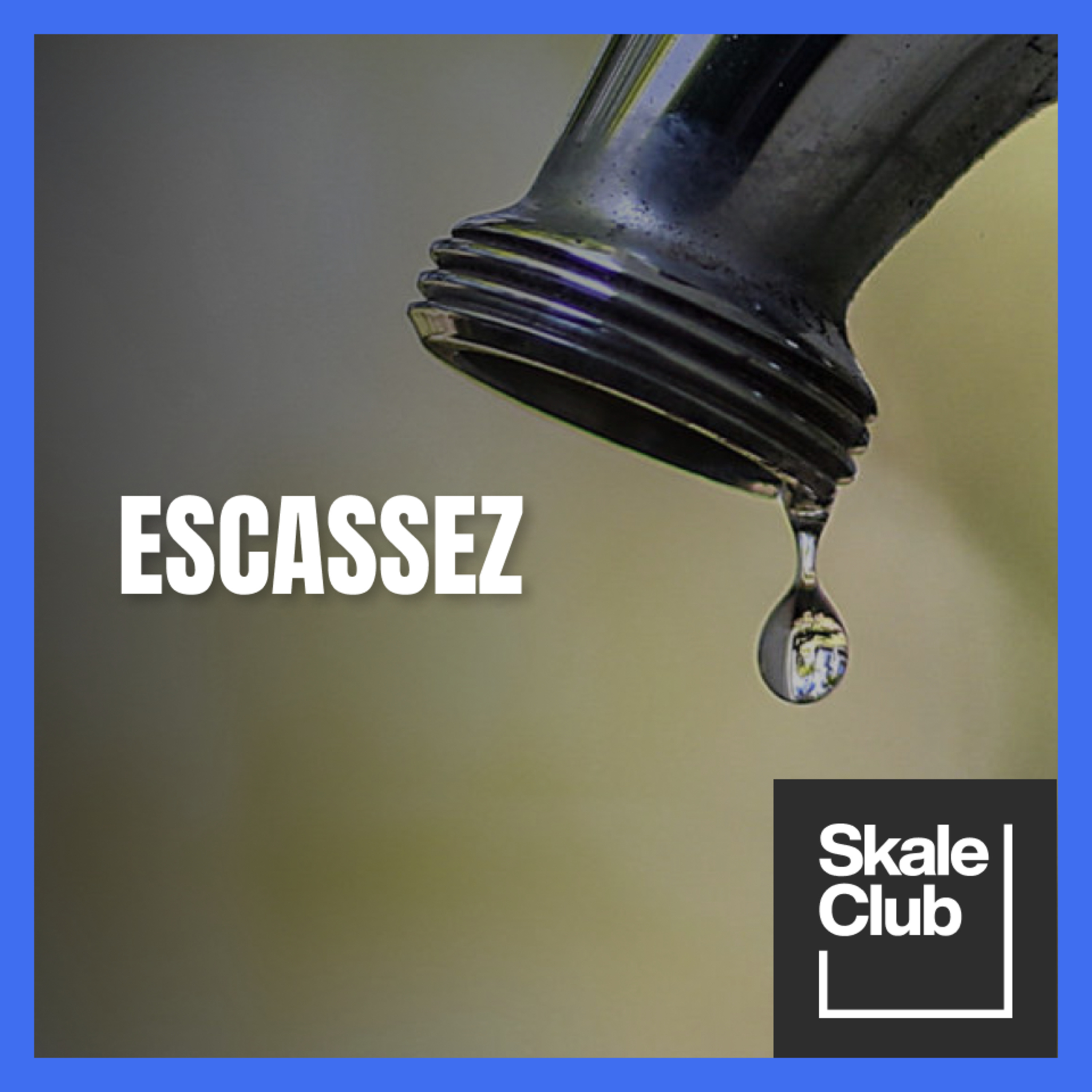 Skale Club