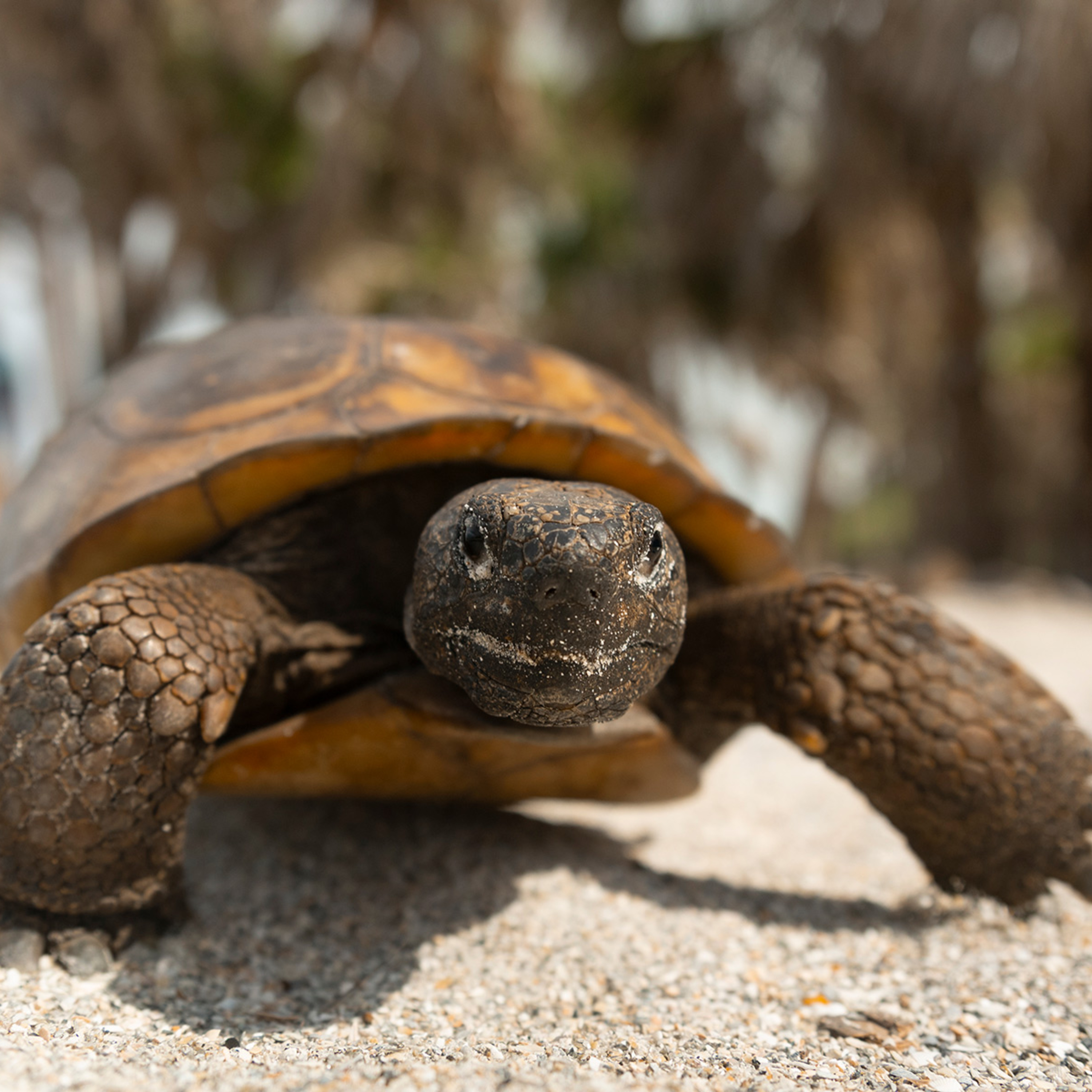 Eckerd College Newsroom